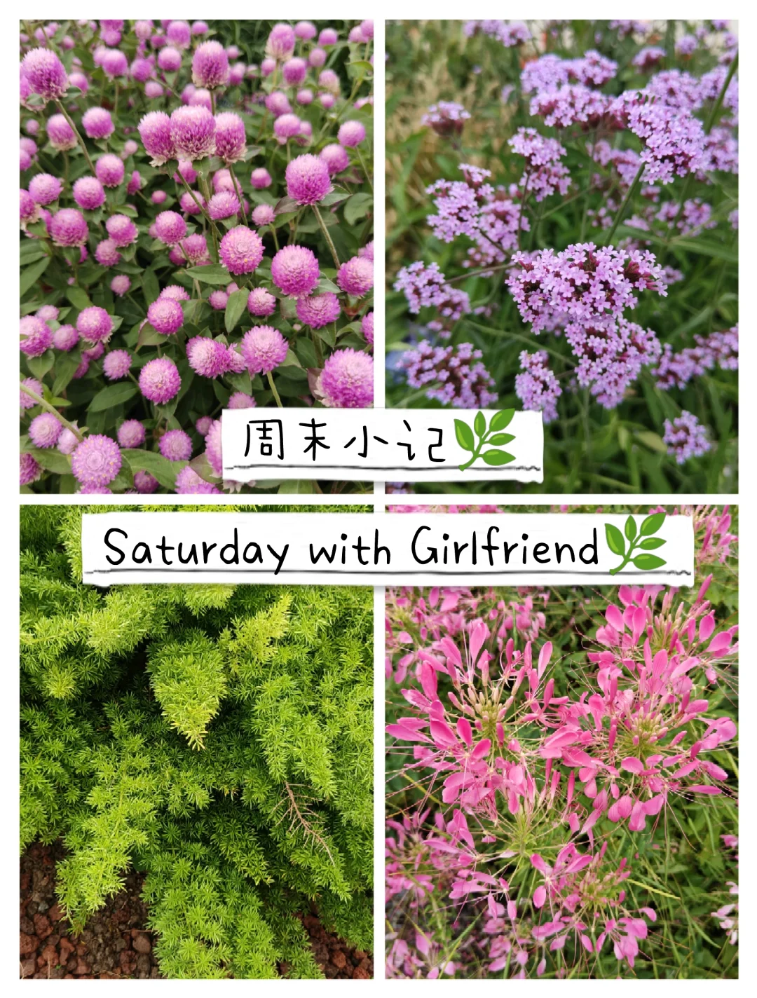 周末小记 Saturday with Girlfriend