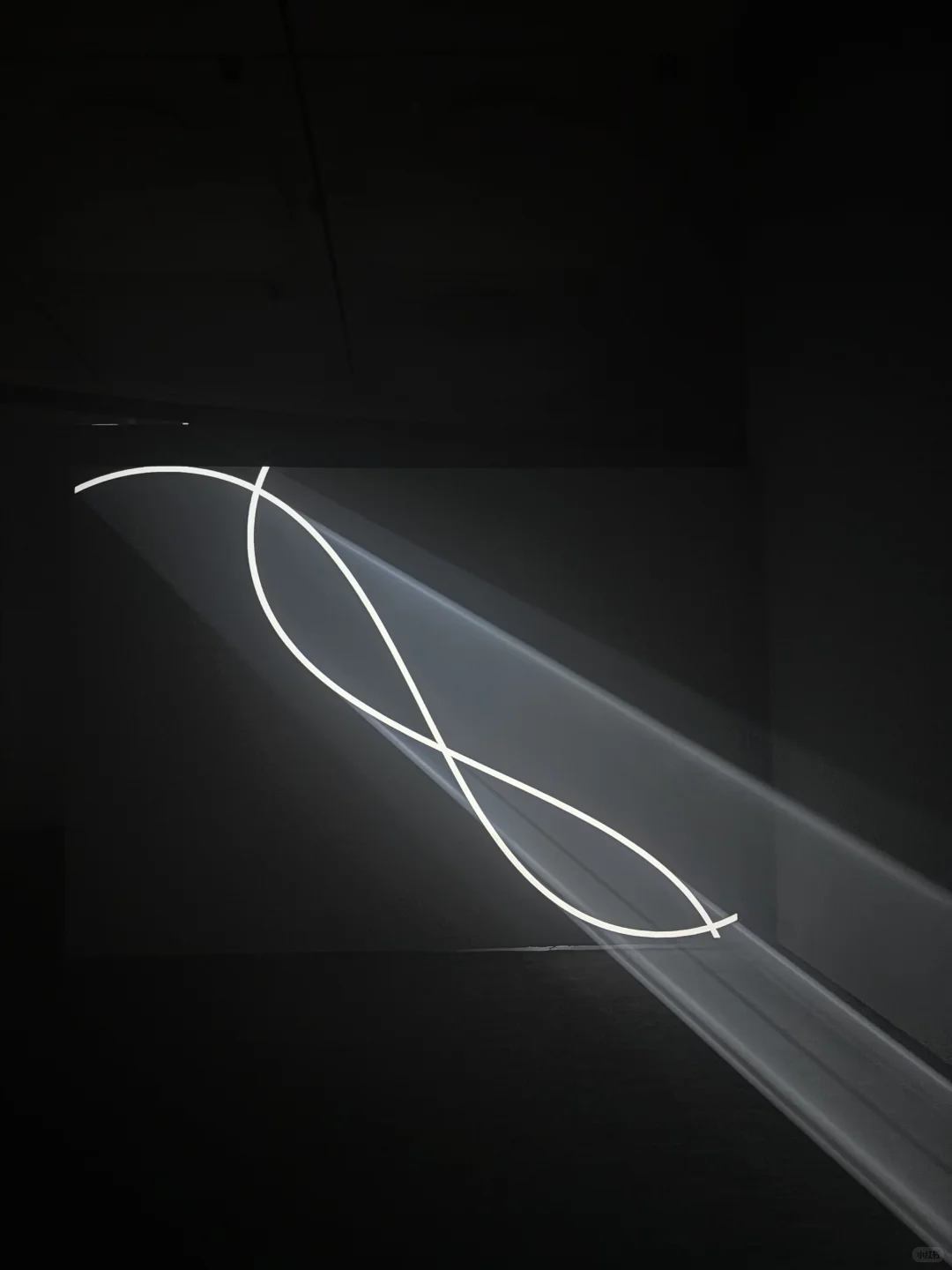 去看一次视觉盛宴展览?