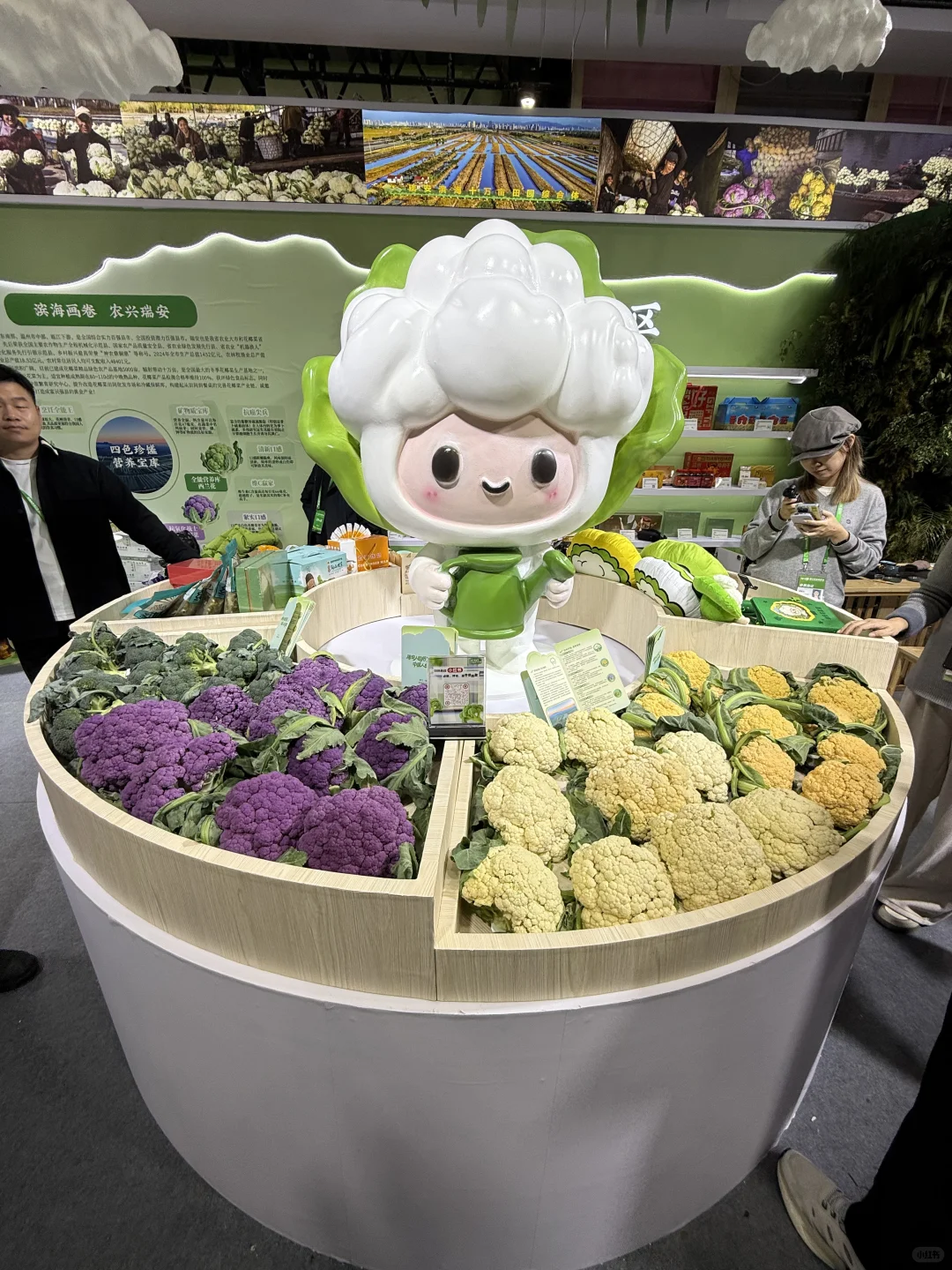 在杭州的吃货们，不要错过这周末的博览会！