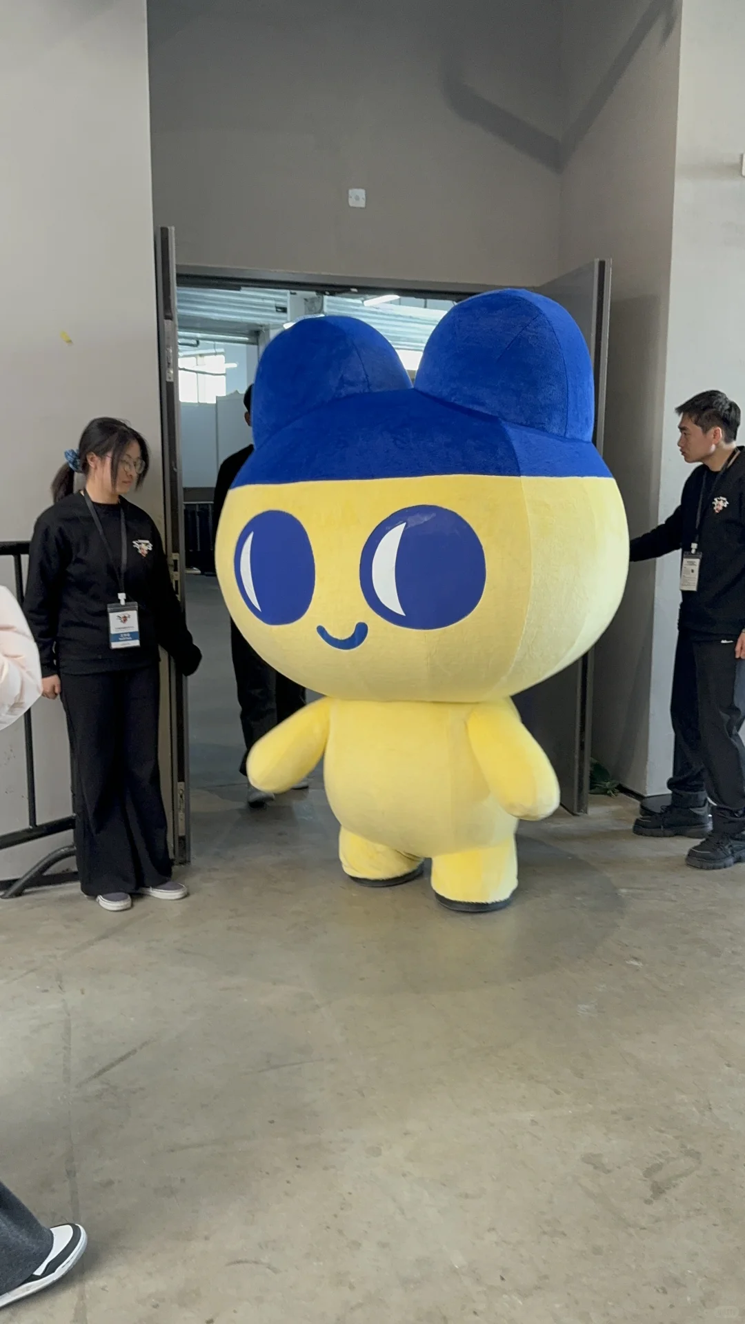 万代嘉年华?️GOGOGO