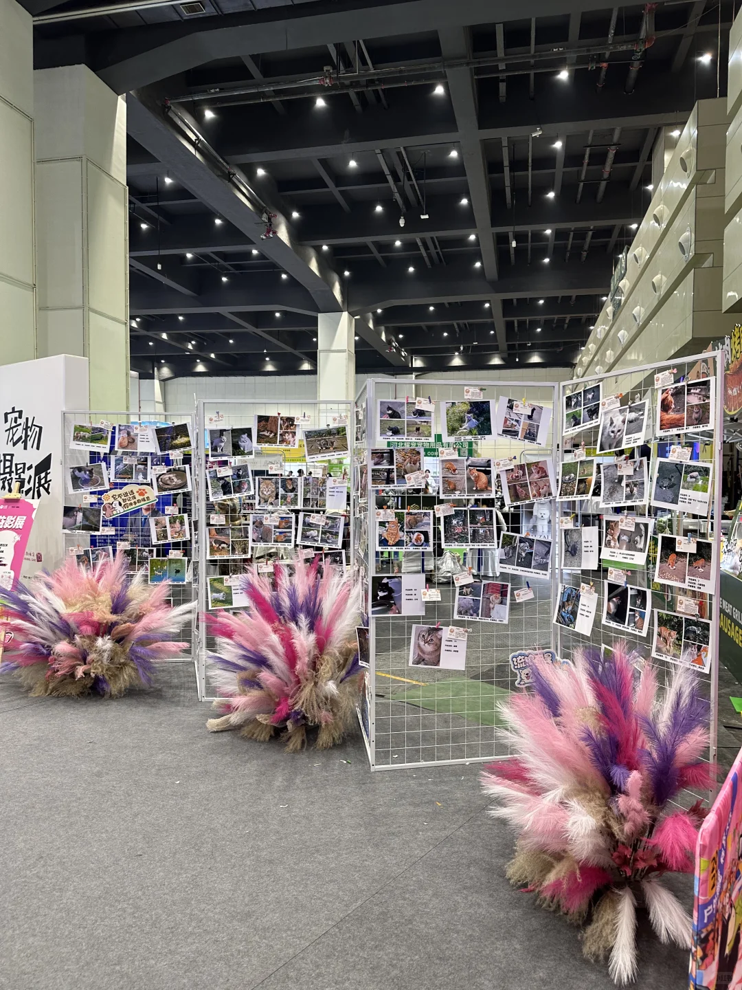 郑州养宠人快看!这个宠物展太有意思了?