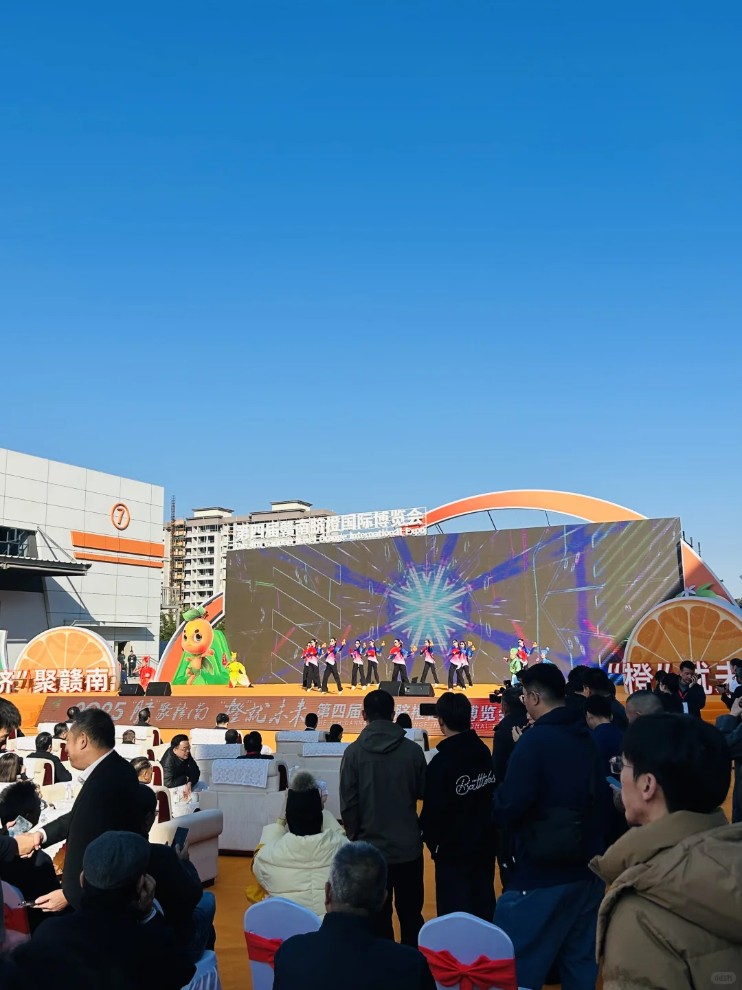 太好逛啦！脐橙博览会就像橙子主题游园会！