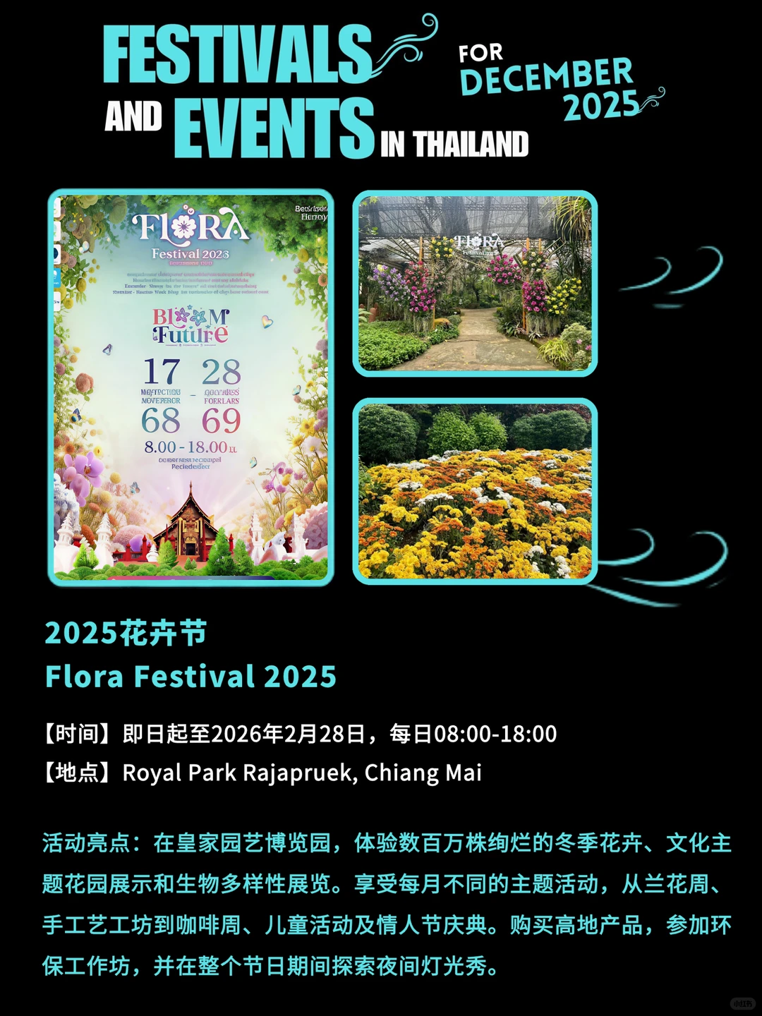 泰国12月活动多到爆炸，收藏这篇就够！