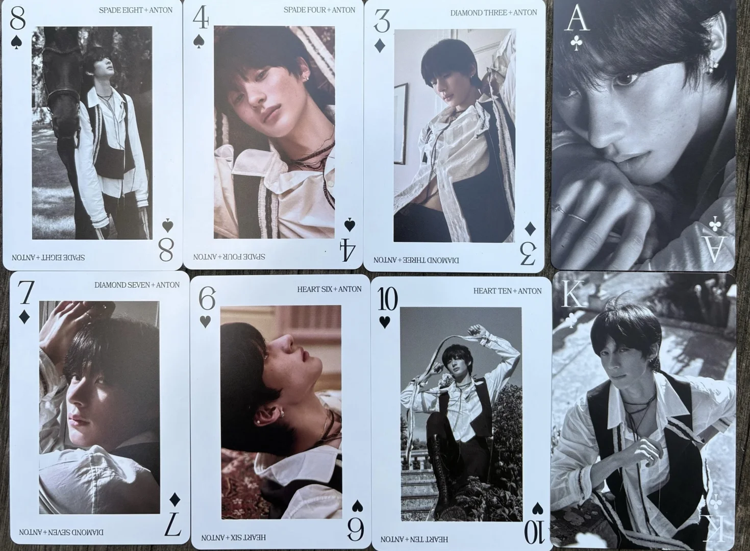 展览会Anton照片