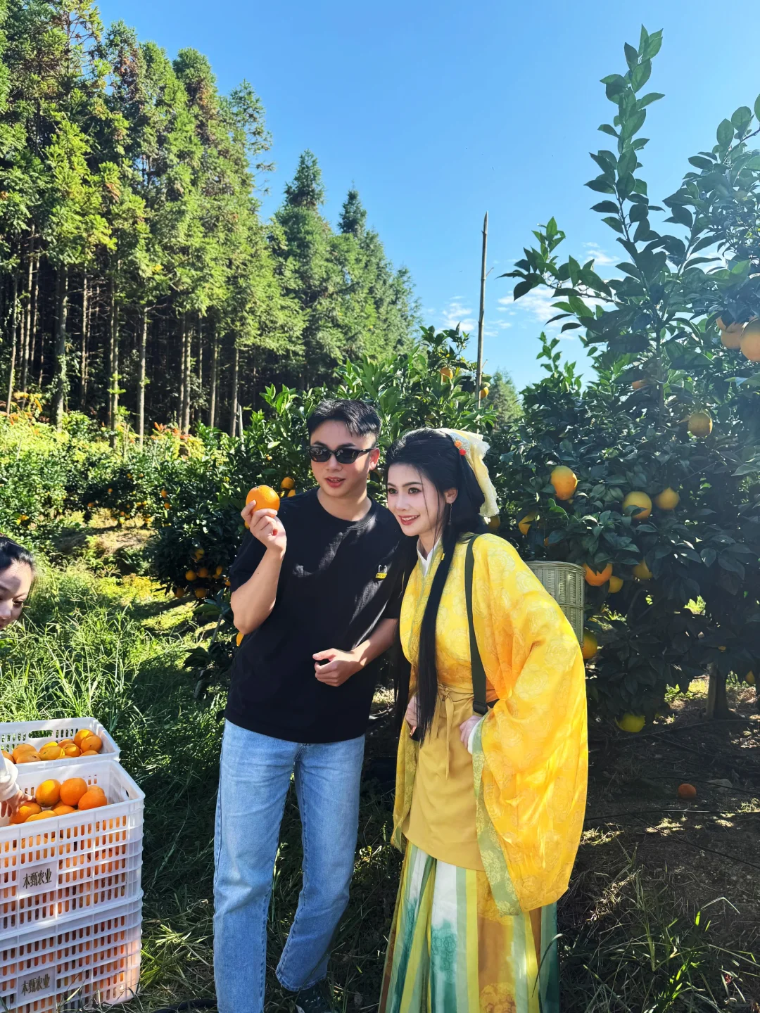 太好逛啦！脐橙博览会就像橙子主题游园会！