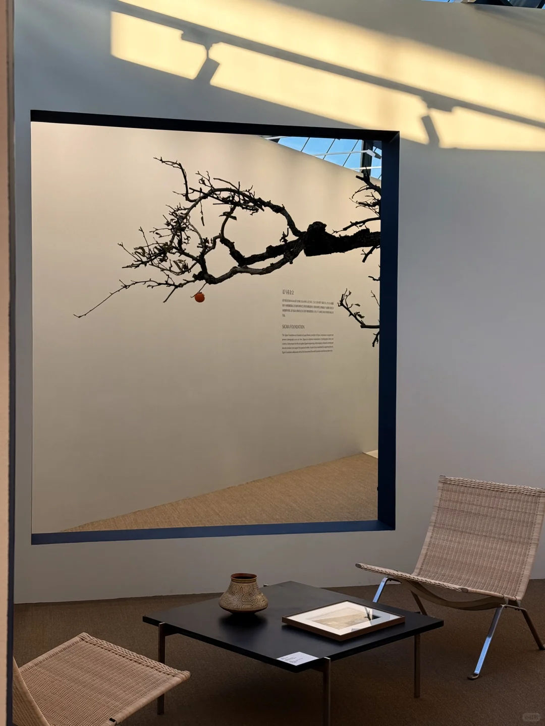 sigma | 无用之用