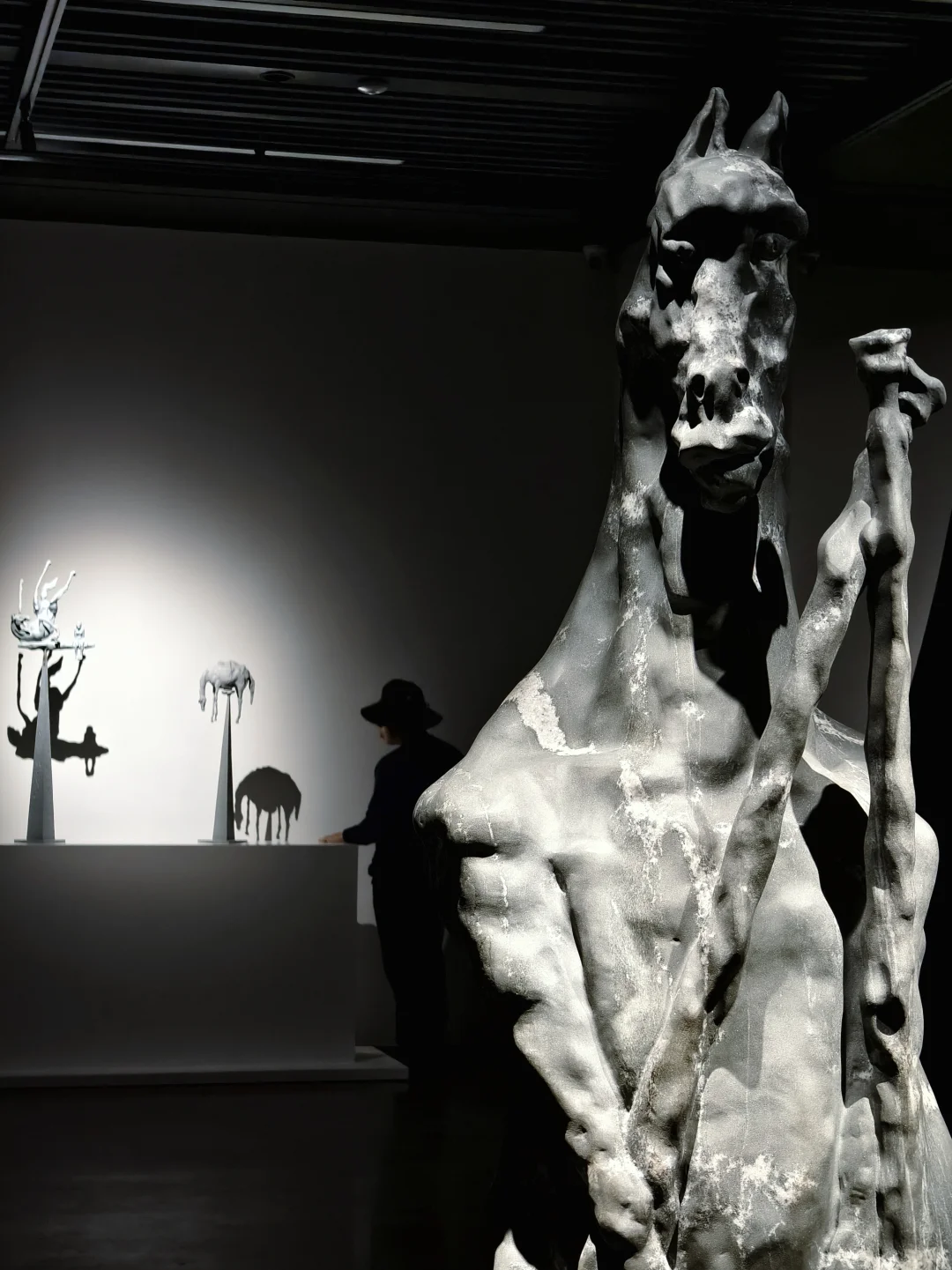 肇庆重磅免费双展‼️天马行空般重新想象