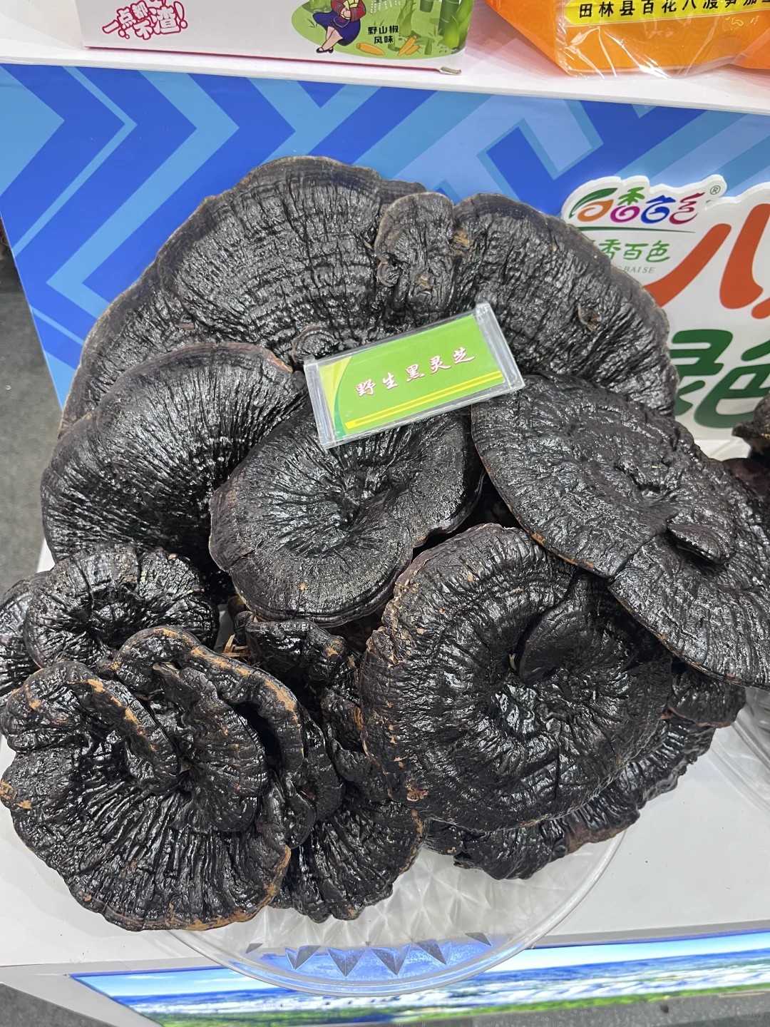 广西国际农业博览会～2025