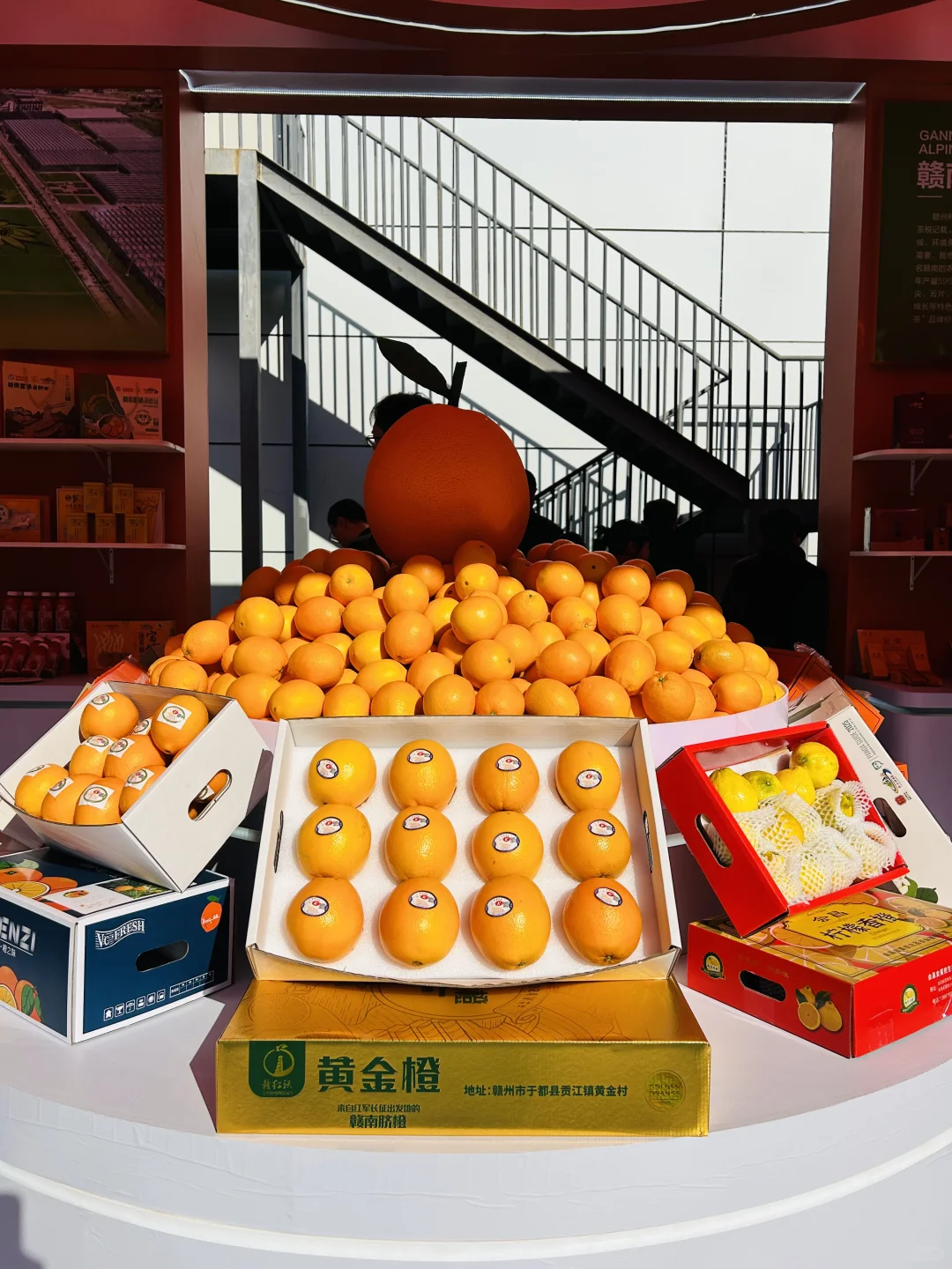 太好逛啦！脐橙博览会就像橙子主题游园会！