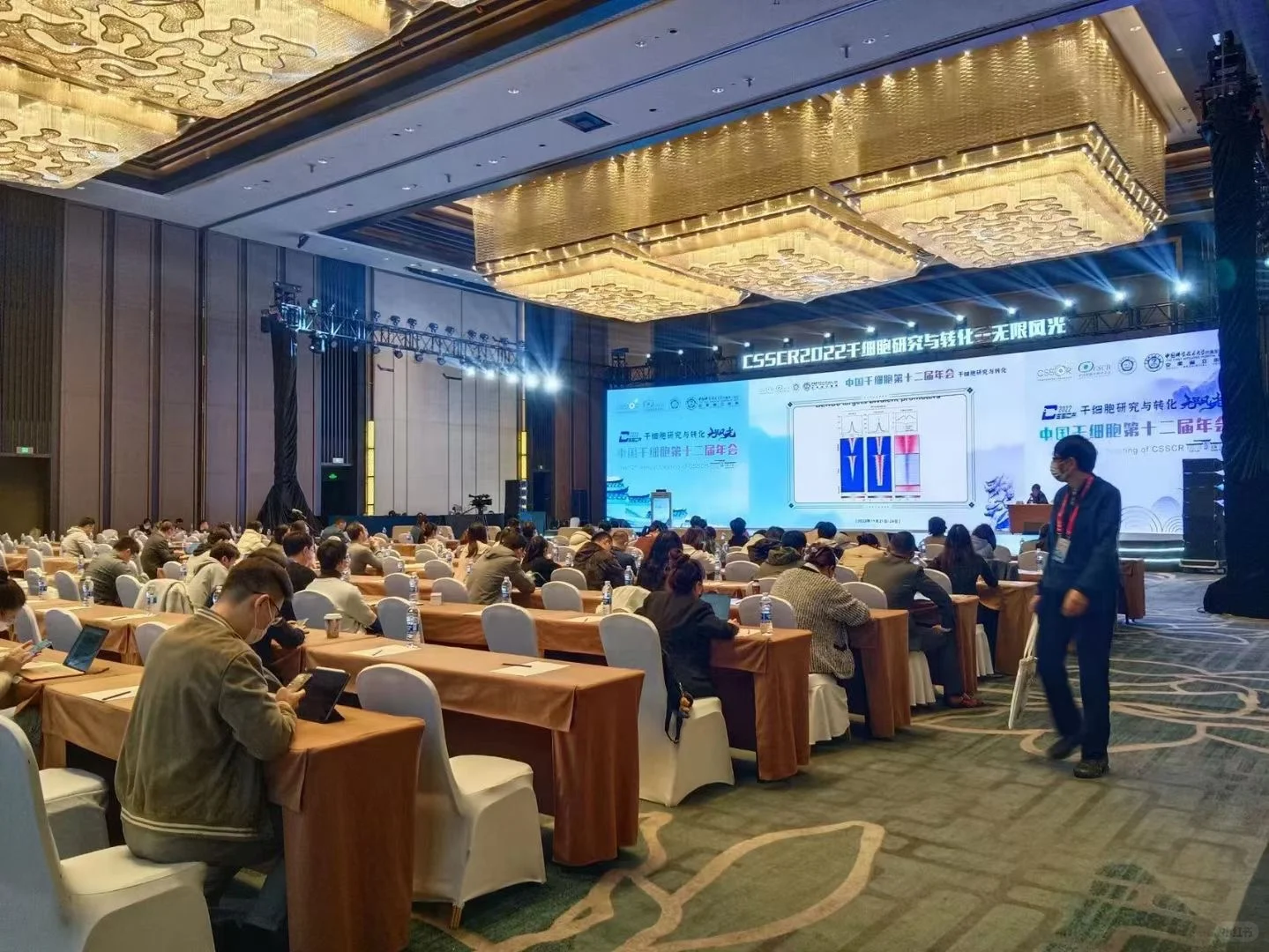 湘西?️提供充场人员服务−会议展会办公群演