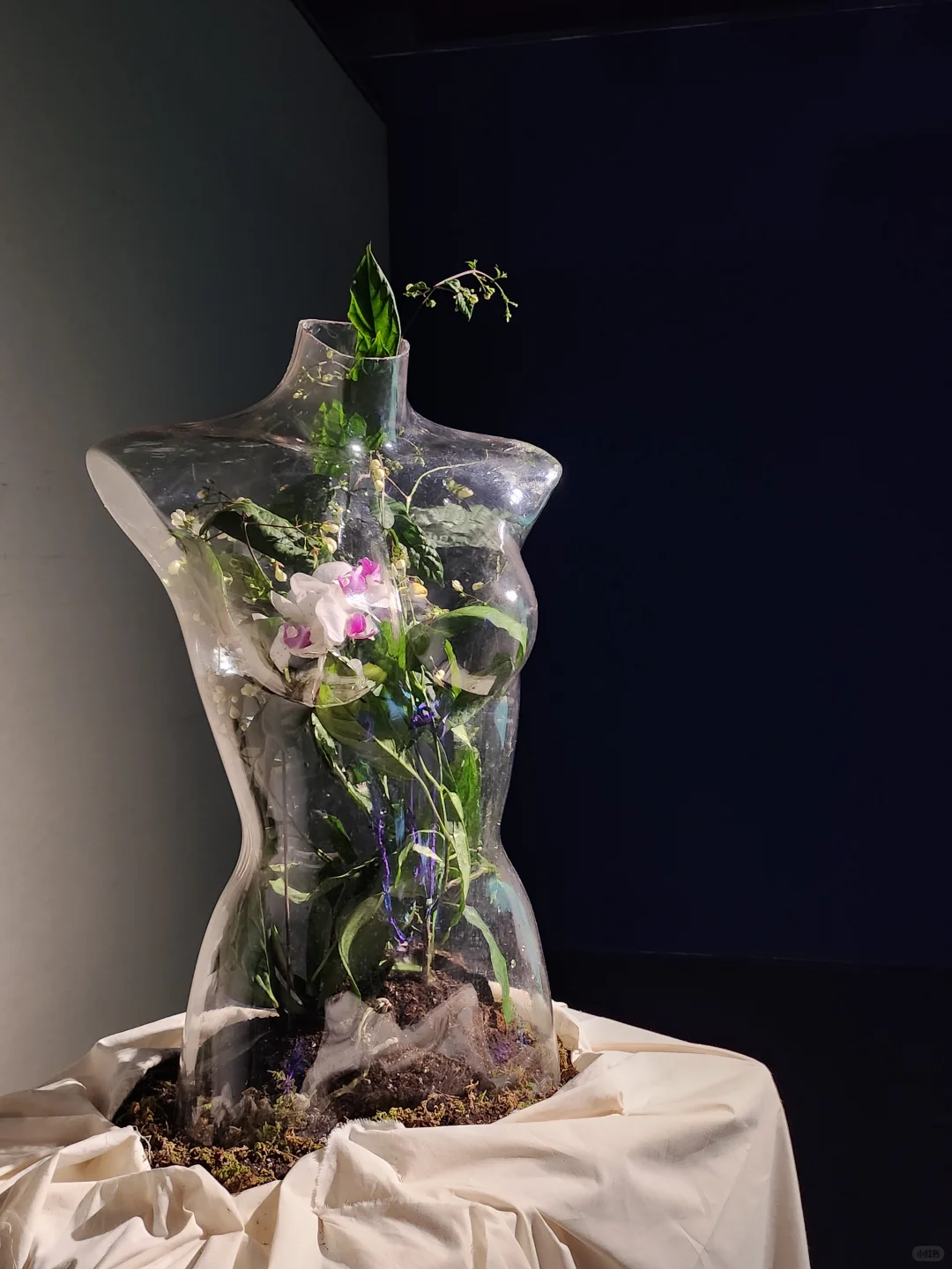 每天在天美很有趣?