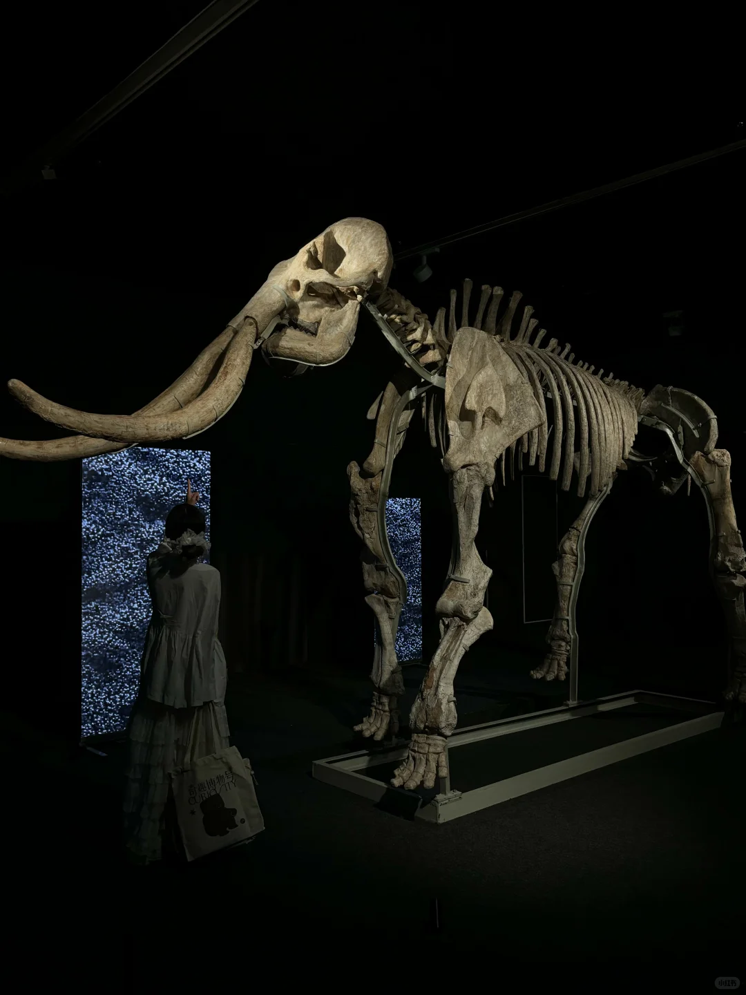 我宣布这是深圳本月蕞震撼的新展✨好多真迹