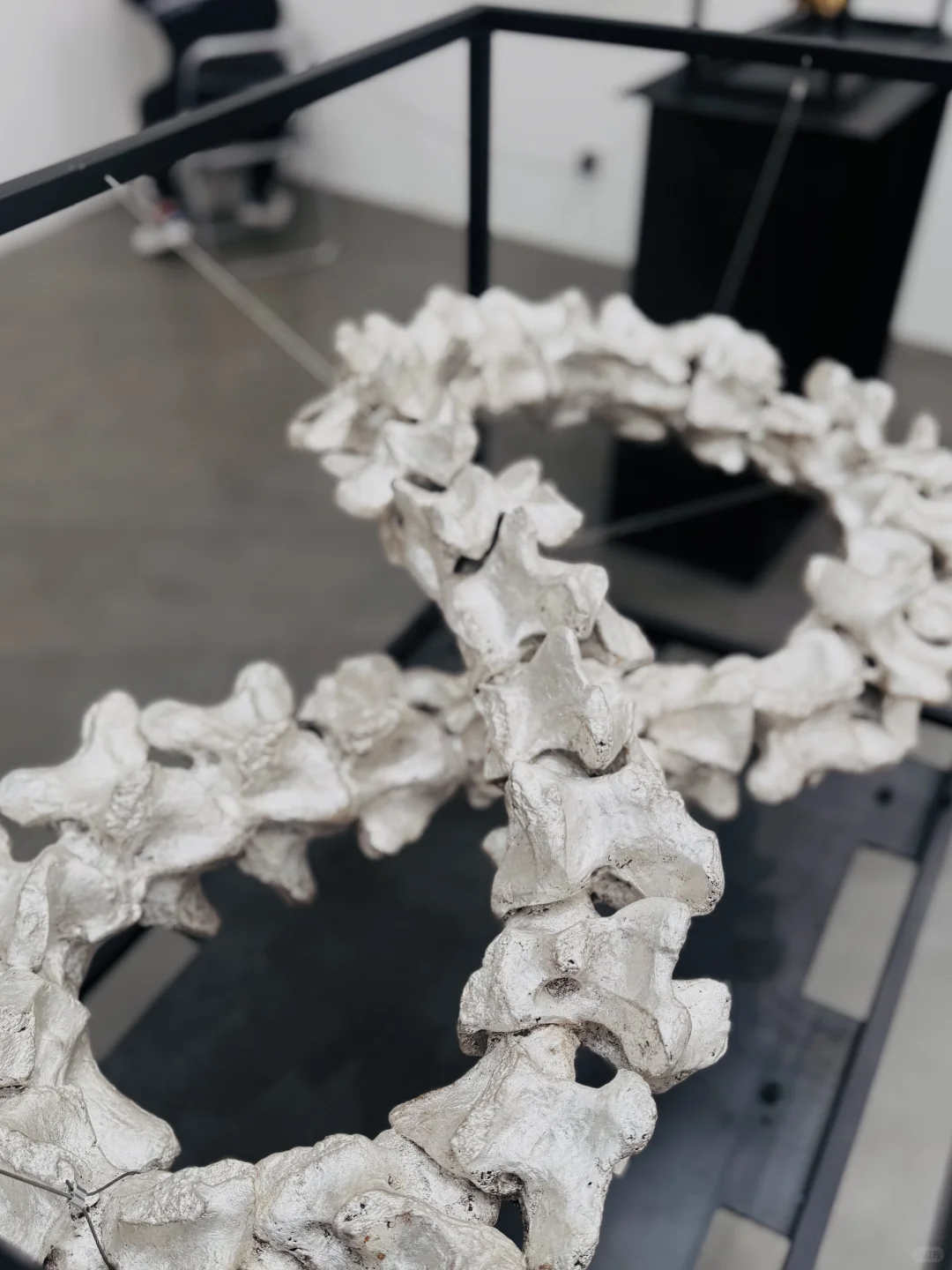 西岸艺博会?一天七馆跑断腿❗️（附攻略）