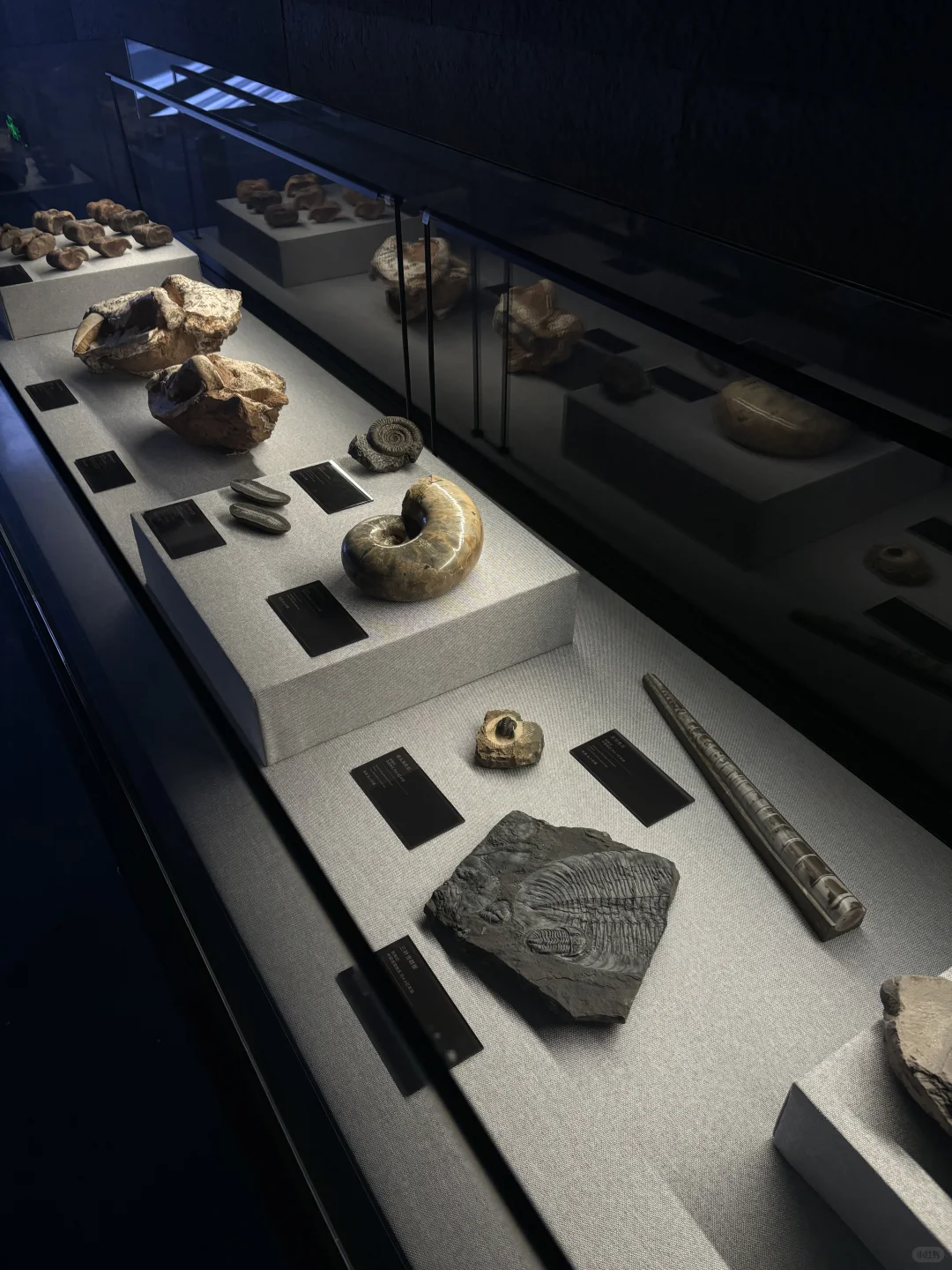 我宣布这是深圳本月蕞震撼的新展✨好多真迹