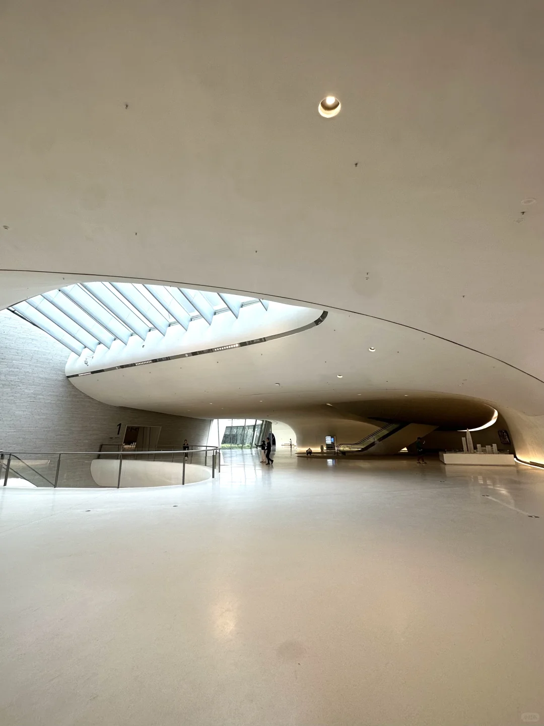 深圳新展|极繁主义狂喜