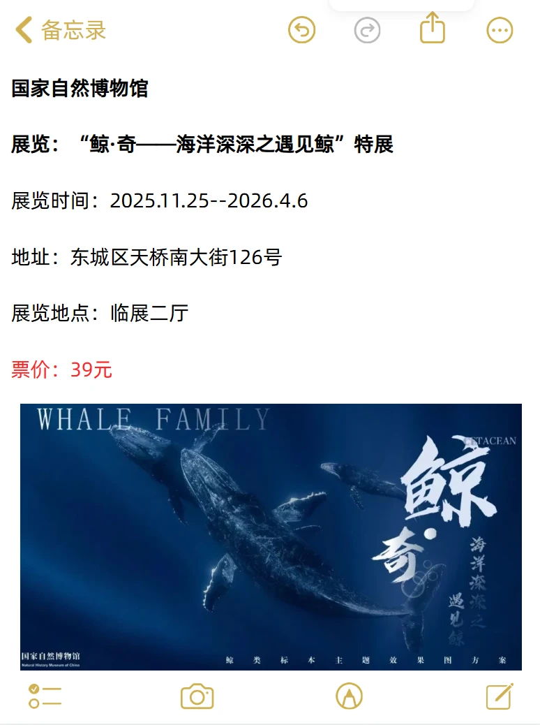 大都免费?北京12月看展攻略来啦~