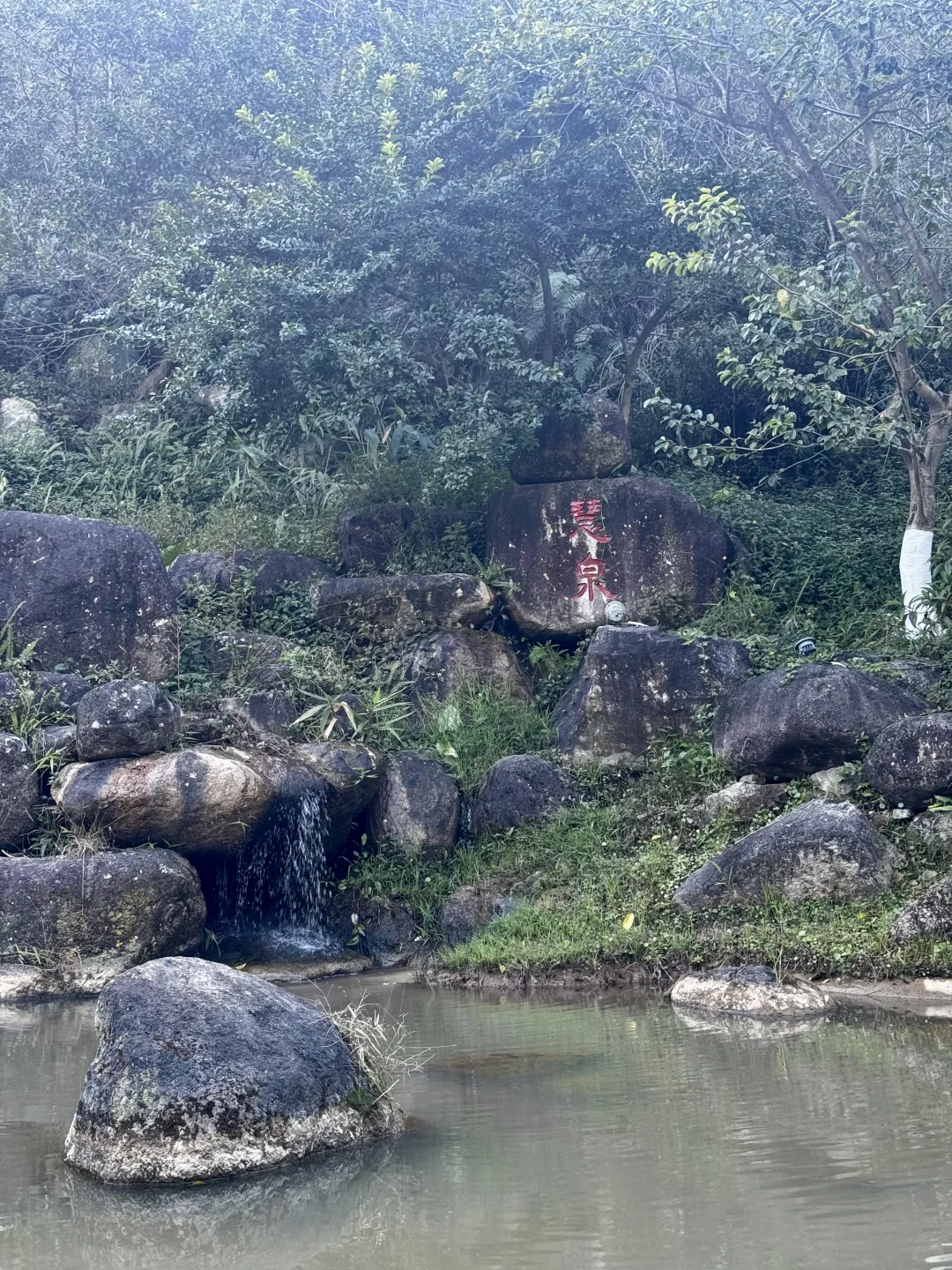 云浮新兴半马体验！