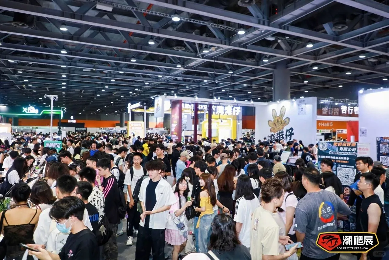 广州潮爬展战绩回顾，2026 精彩继续！