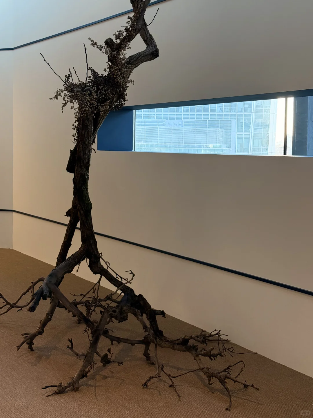 sigma | 无用之用