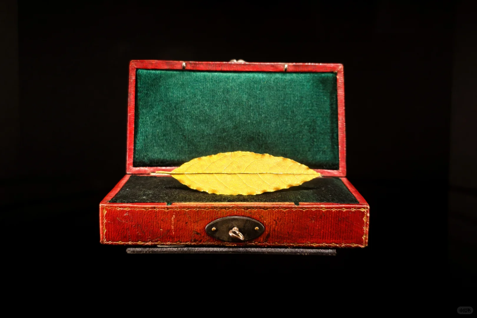 2025进博会之旅结束，回济