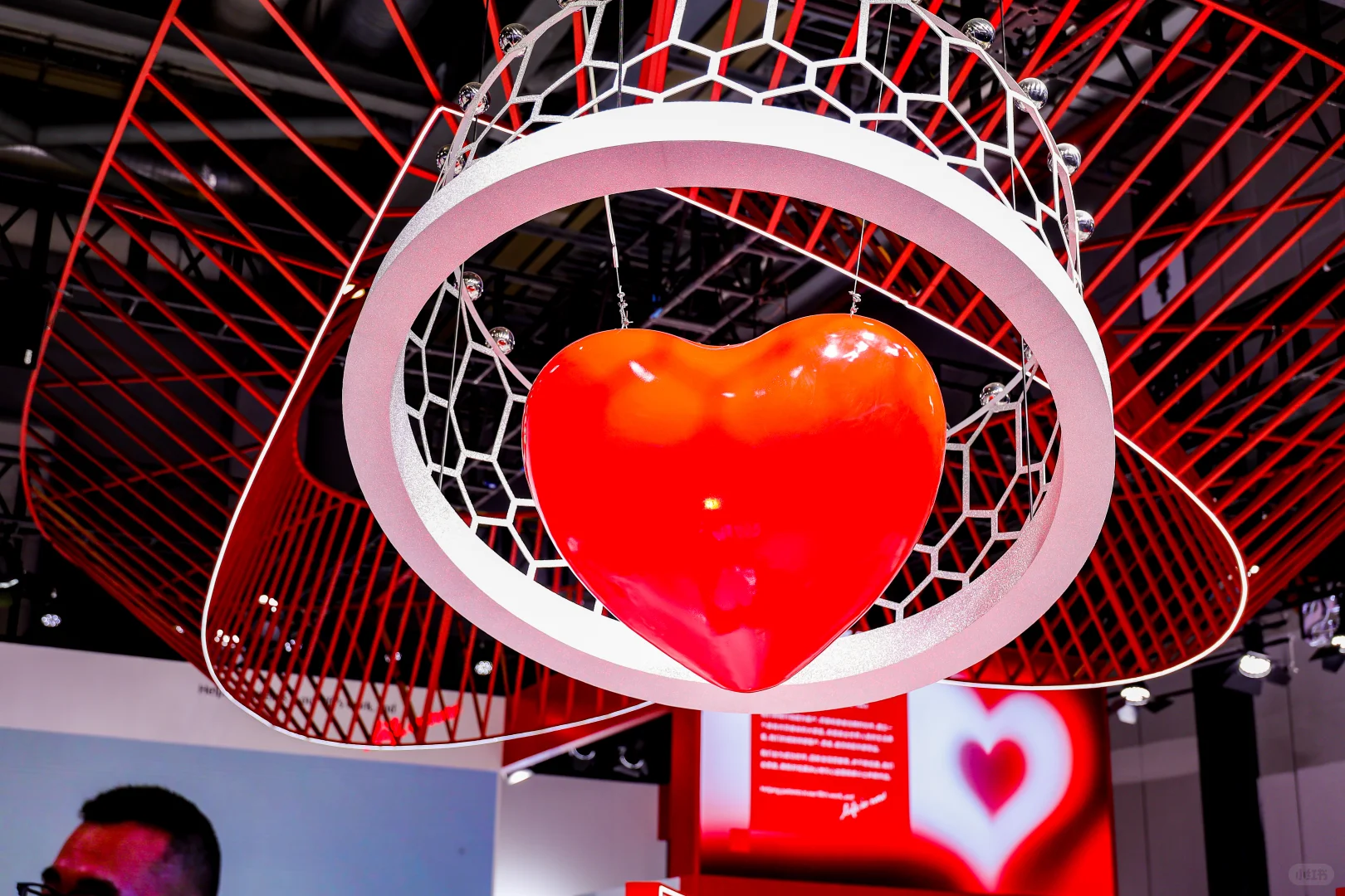 2025进博会之旅结束，回济