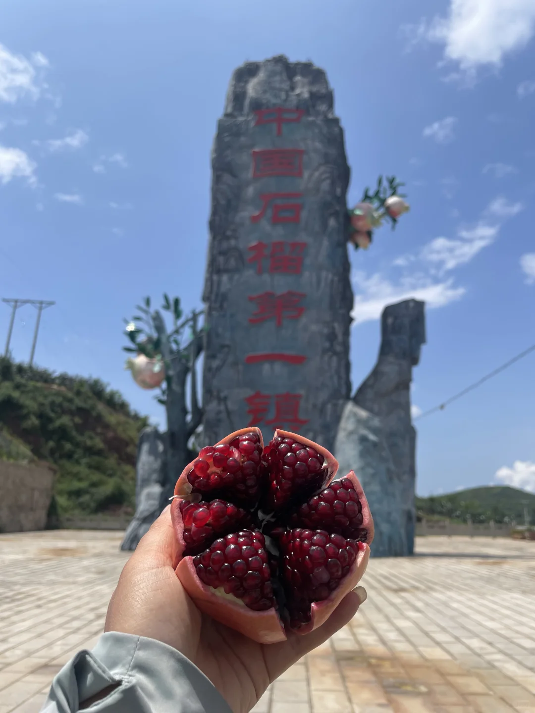 姐妹们给我地址，我给你们寄，不要油费！