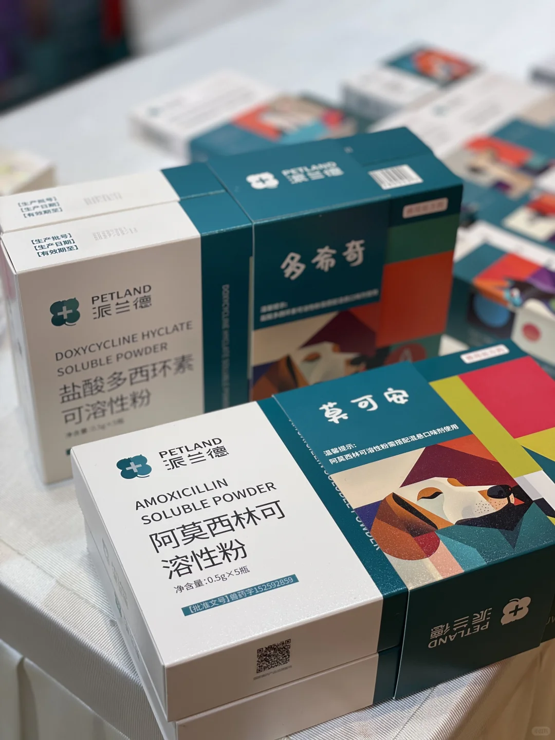 威仕宝×宠物行业盛会｜专注健康，共探未来