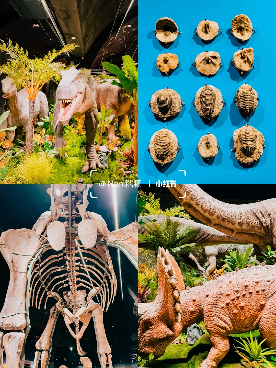 北京看展?年末值得推荐的7️⃣个展览??️?