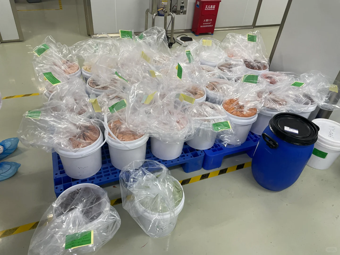 零距离参观彩妆生产车间！