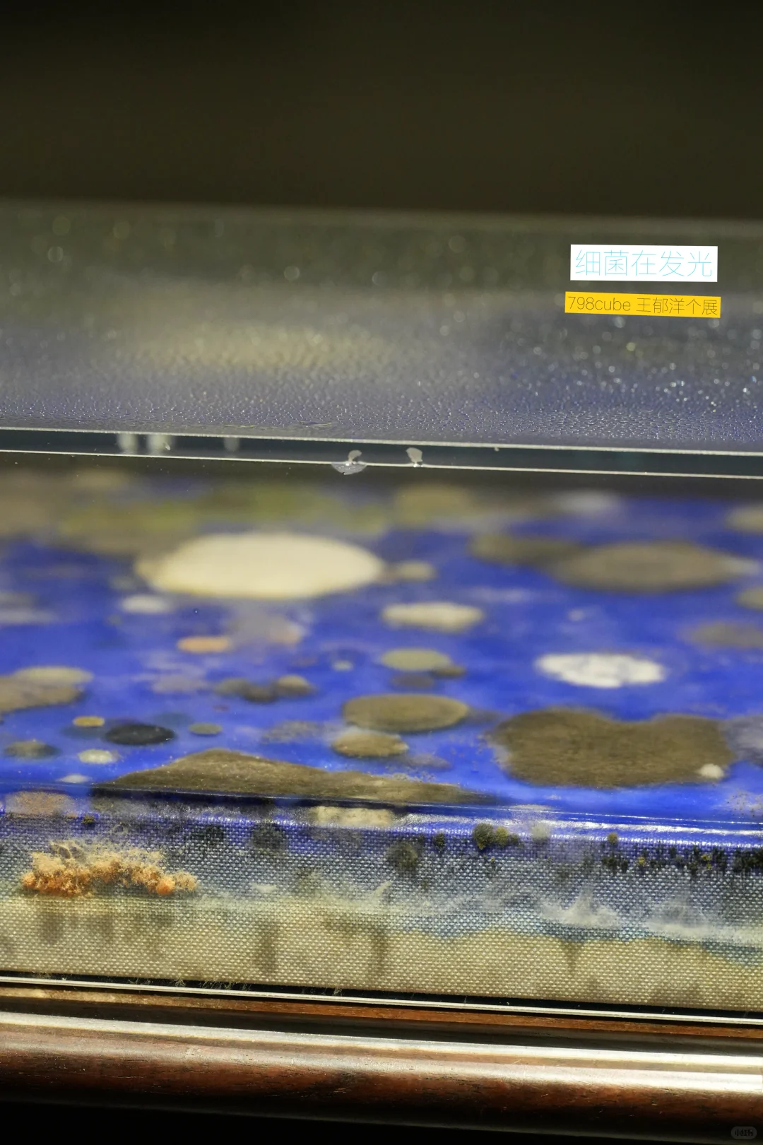 在798，0️⃣元开始“玩”艺术，结果…