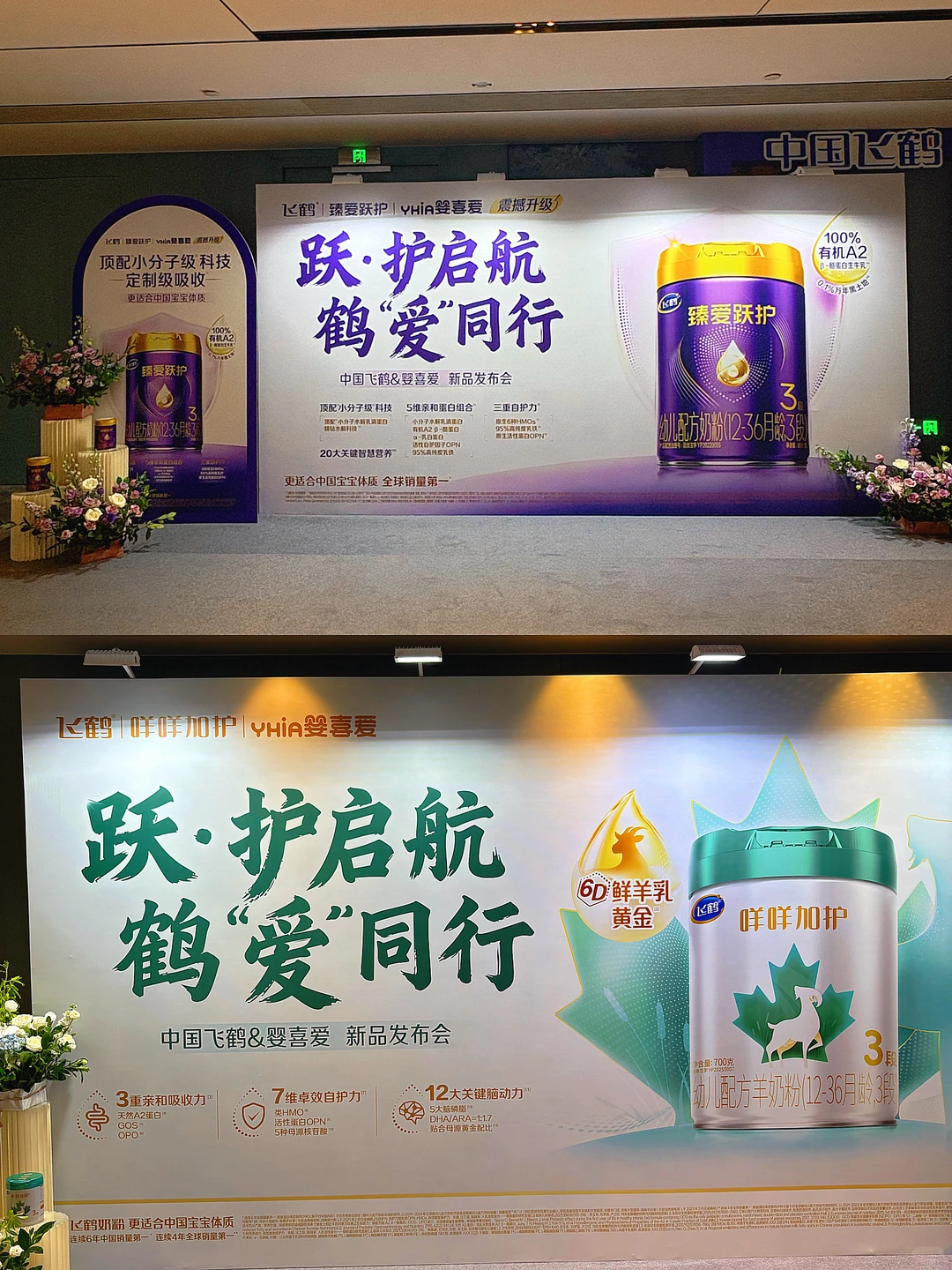 婴喜爱｜飞鹤新品发布会❣️