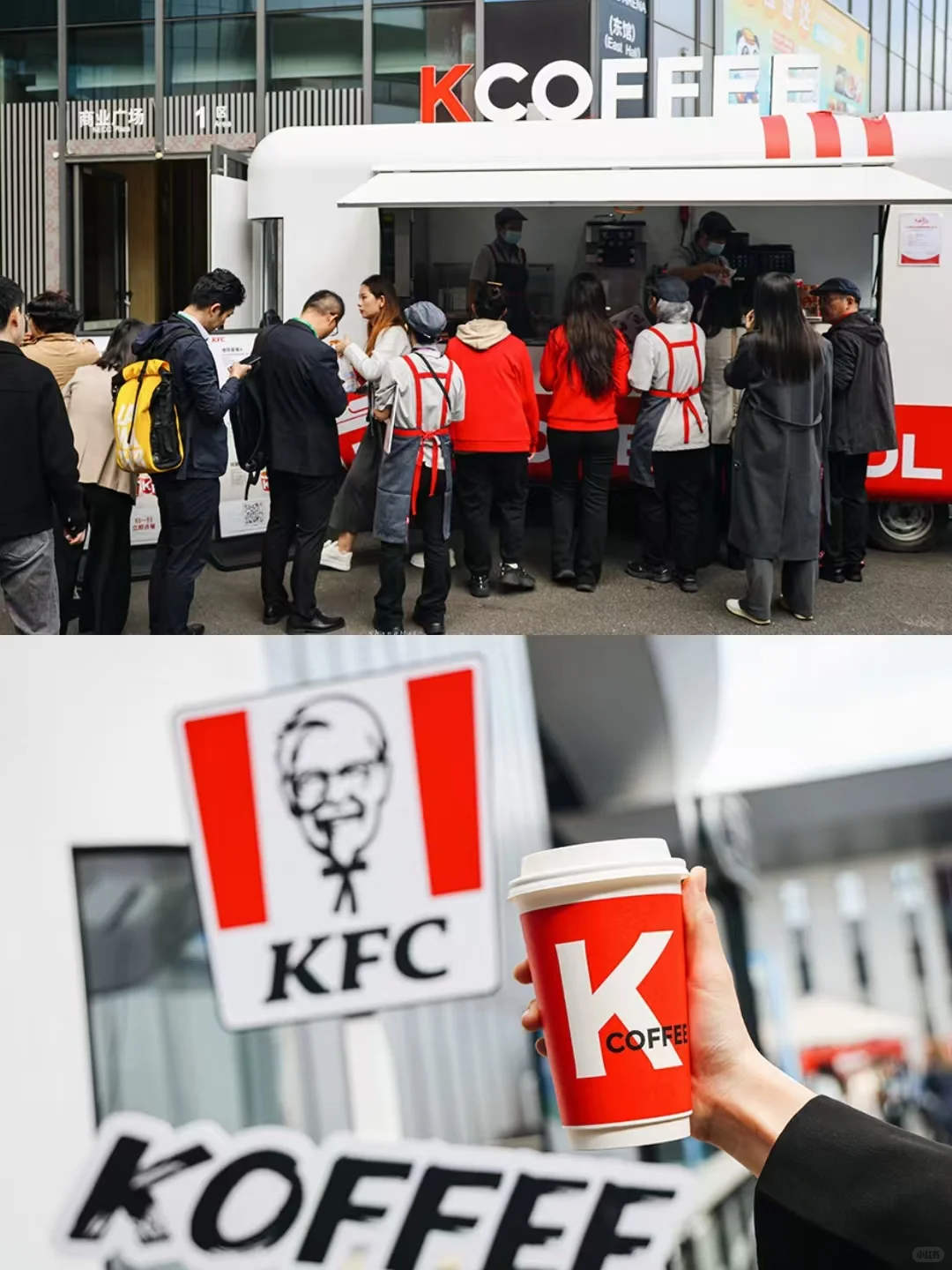 进博会的“食堂”，吃上了！