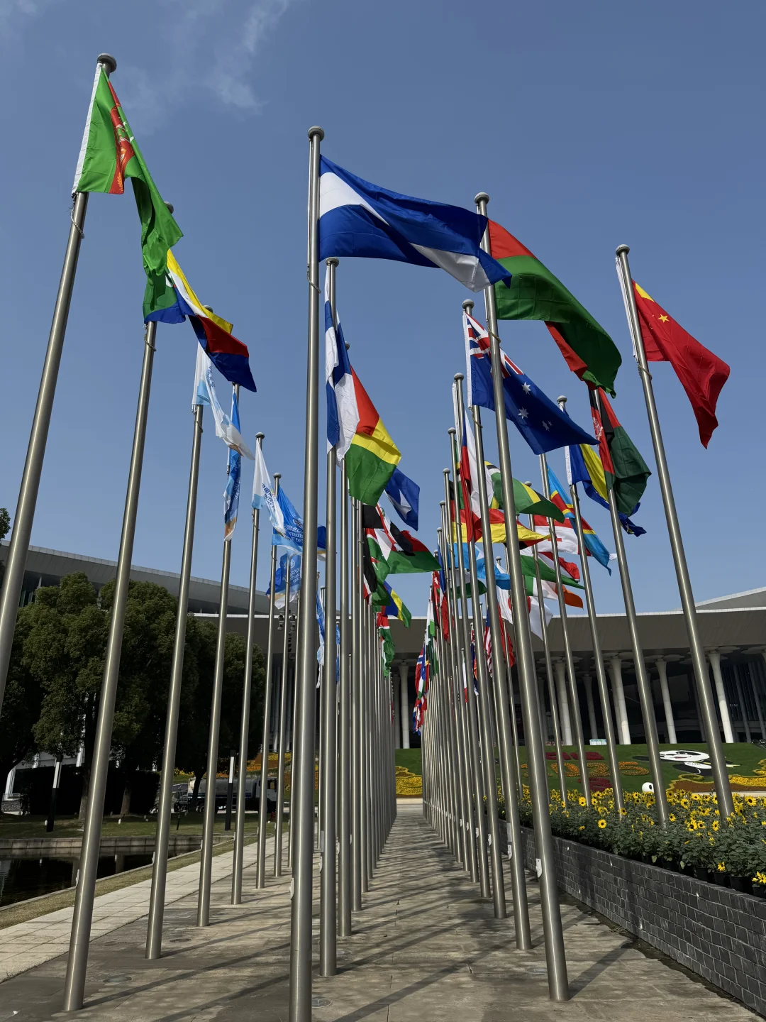 进博会马上开幕啦！提前体验看看吧！