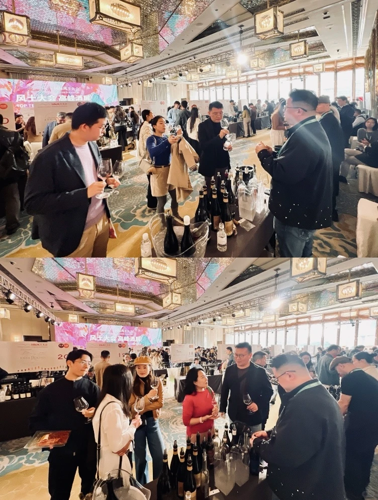 蒲昌｜国际风土大会