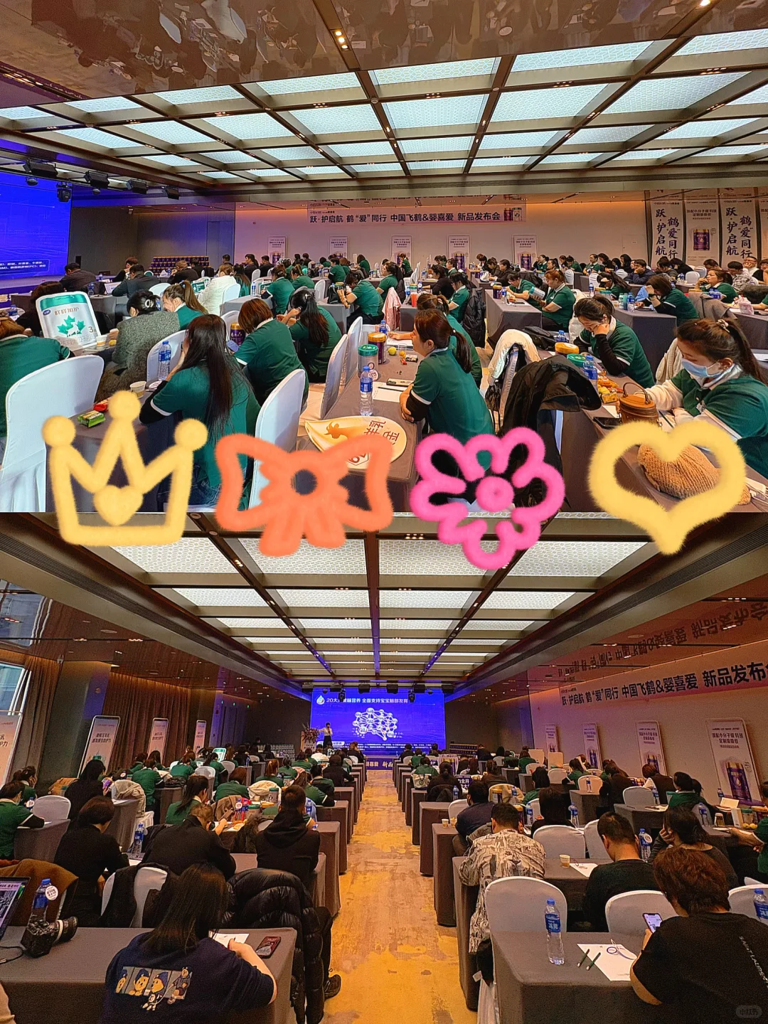 婴喜爱｜飞鹤新品发布会❣️