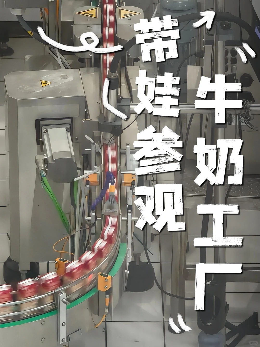 广州遛娃｜亲子打卡参观燕塘牛奶工厂！