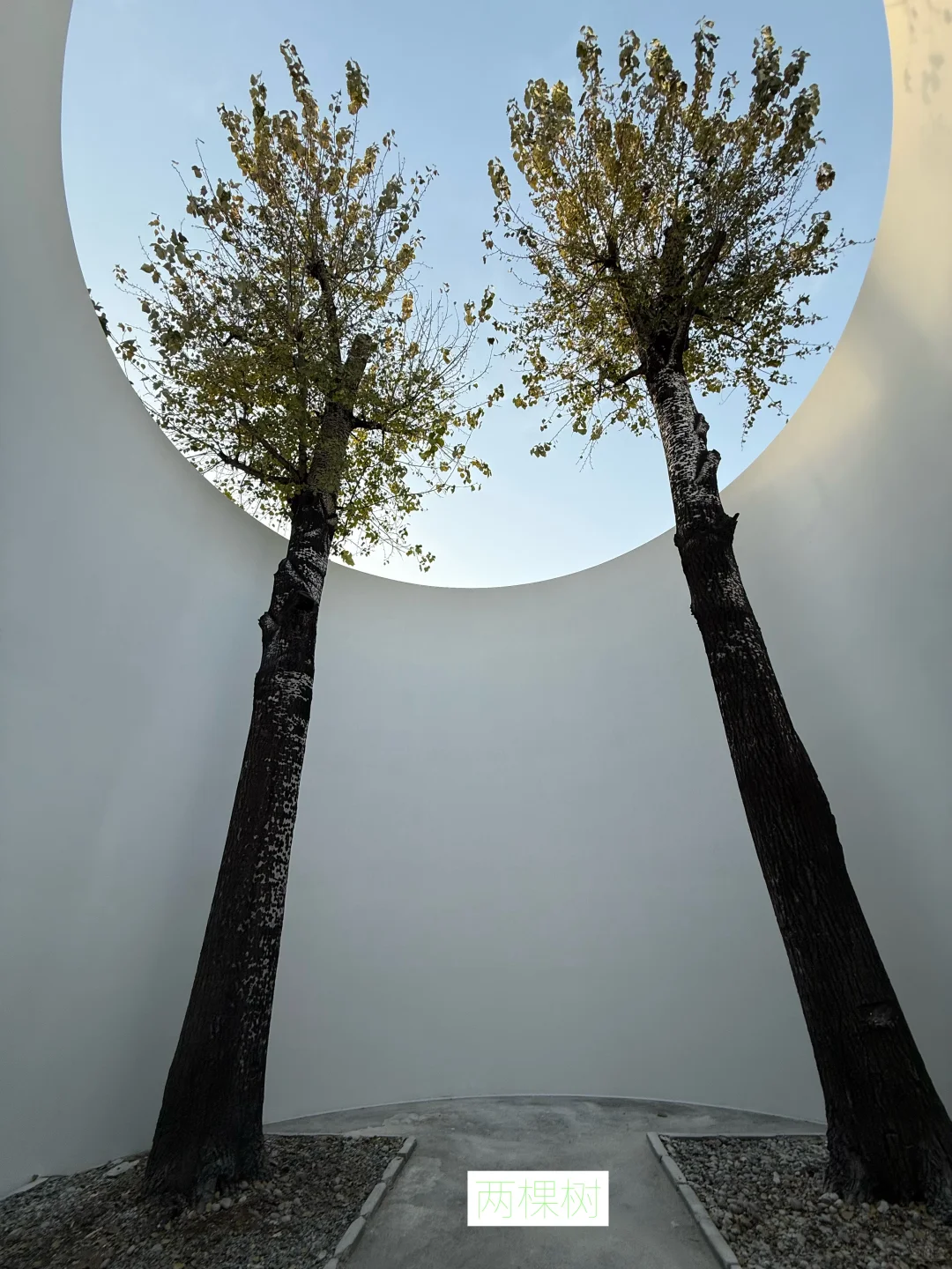 在798，0️⃣元开始“玩”艺术，结果…