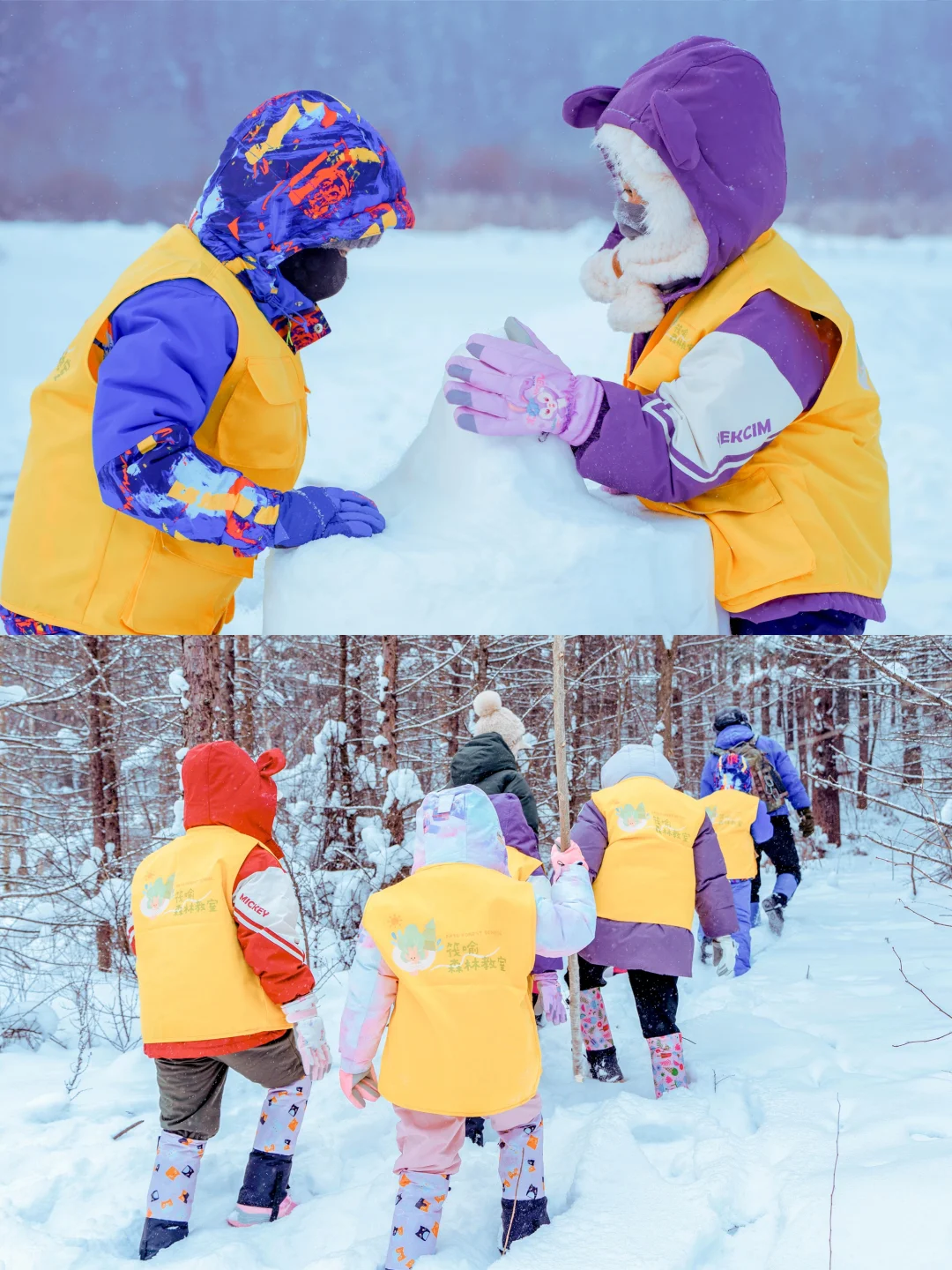 这个寒假,带娃去小兴安岭当“冬季超级护林员