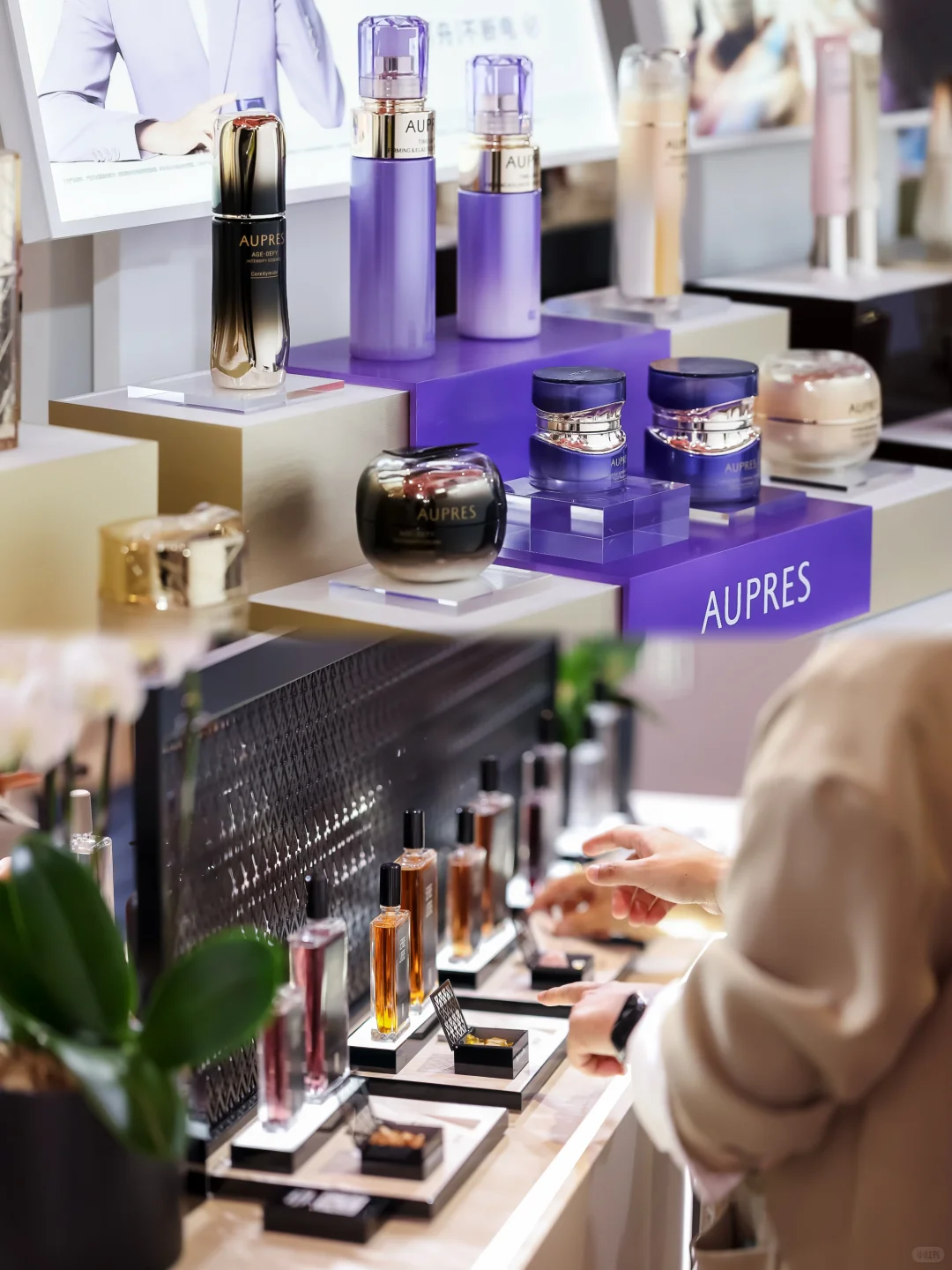 ?️ 进博会美学小课堂开课啦！