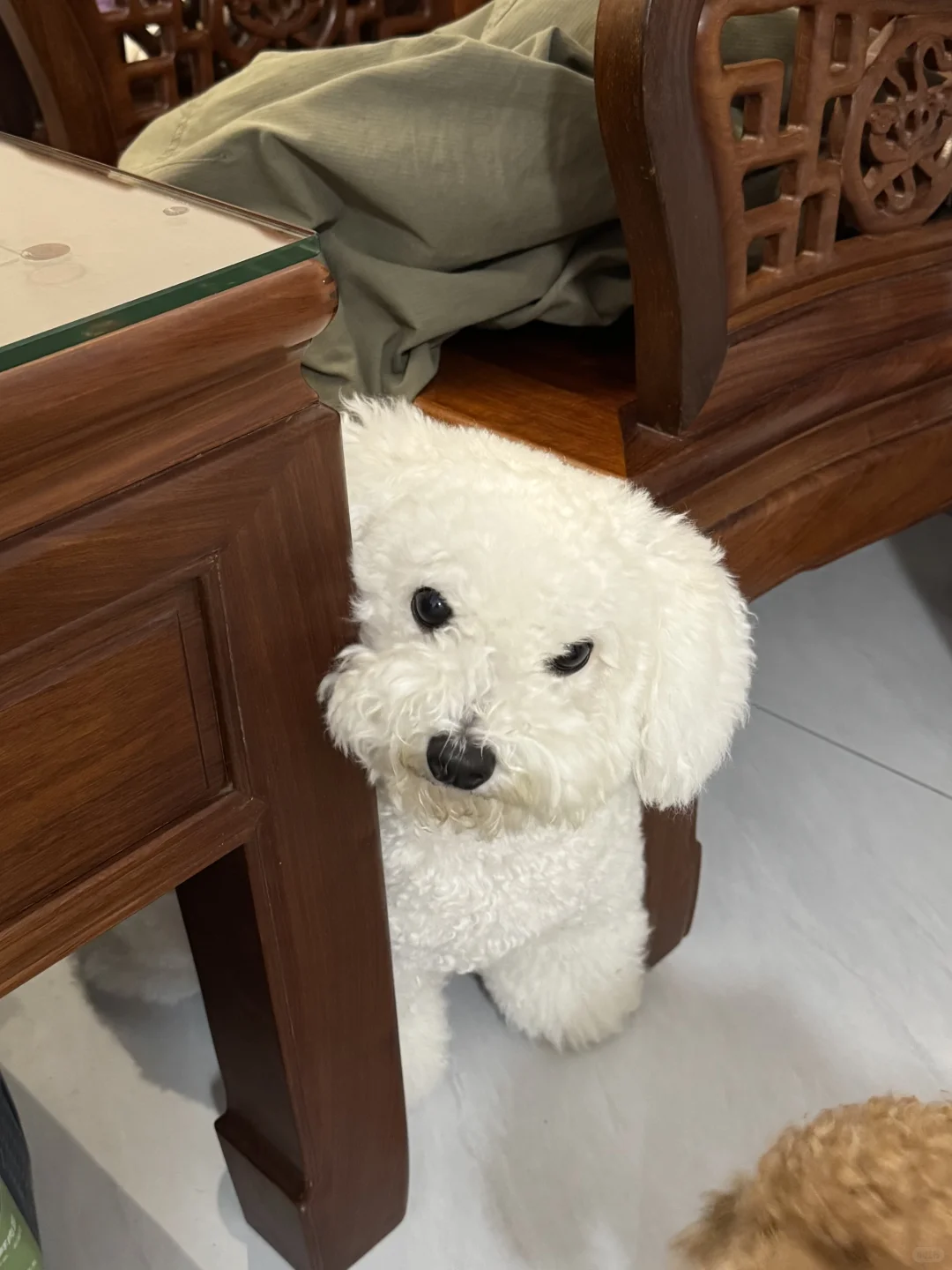 你好，请问这边几点开饭呀？