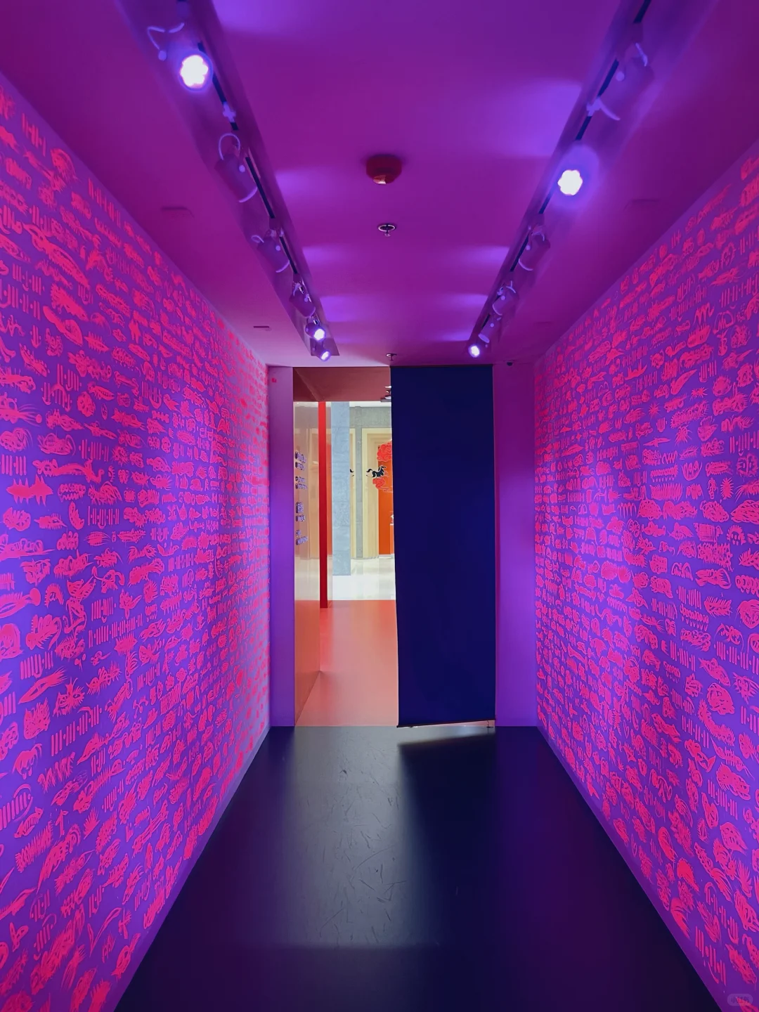 报告！在上海发现一个可爱又免费的艺术展?