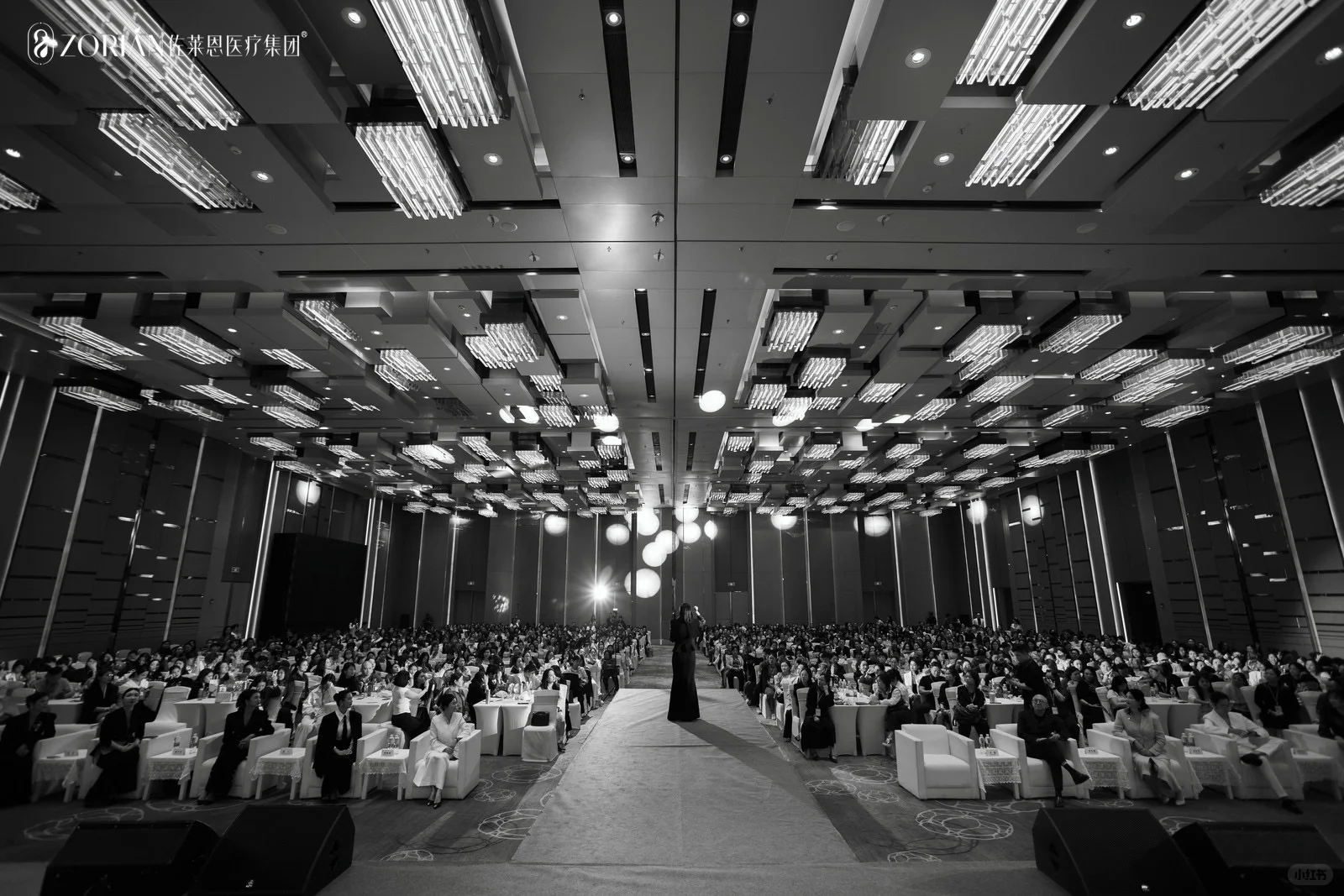 佐莱恩新品发布会｜活动拍摄｜会议拍摄｜