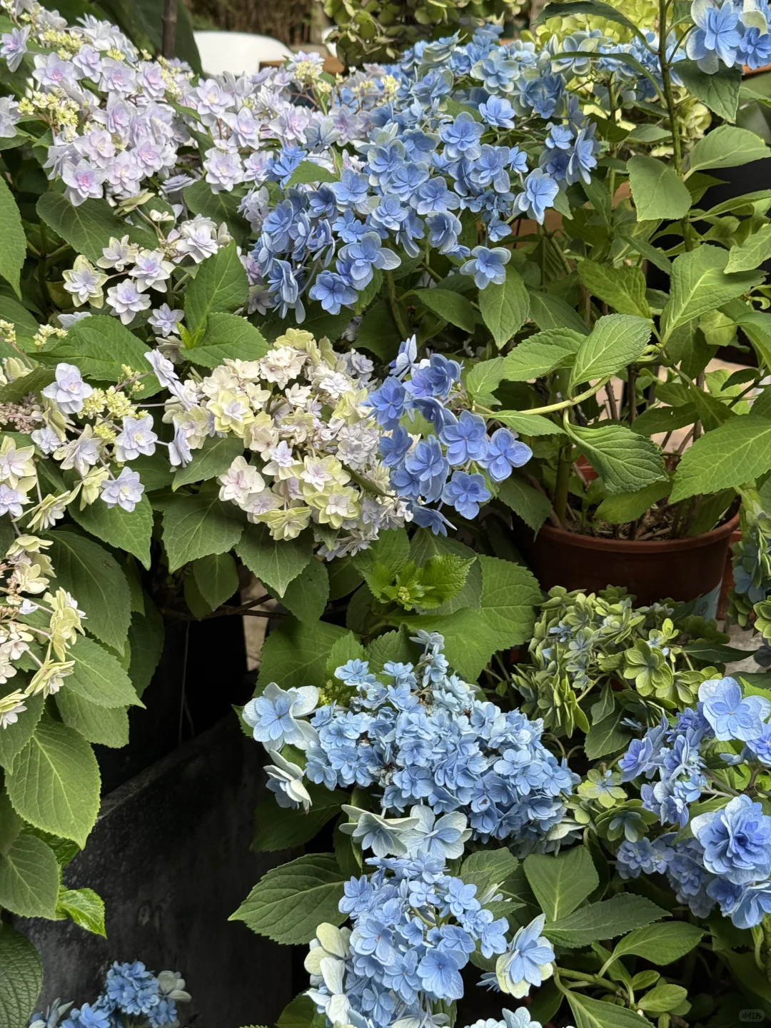 广交会｜ 打工人的五一假要搬砖也要有美好