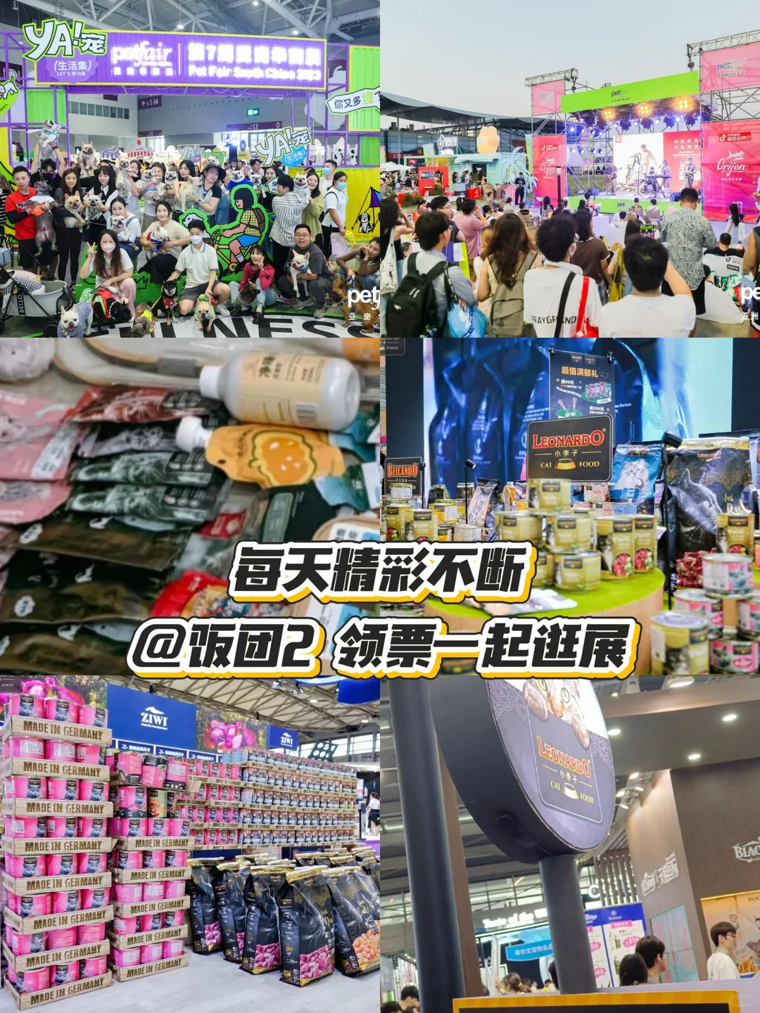 铲屎官狂喜！饭团带你提前云逛亚宠华南展