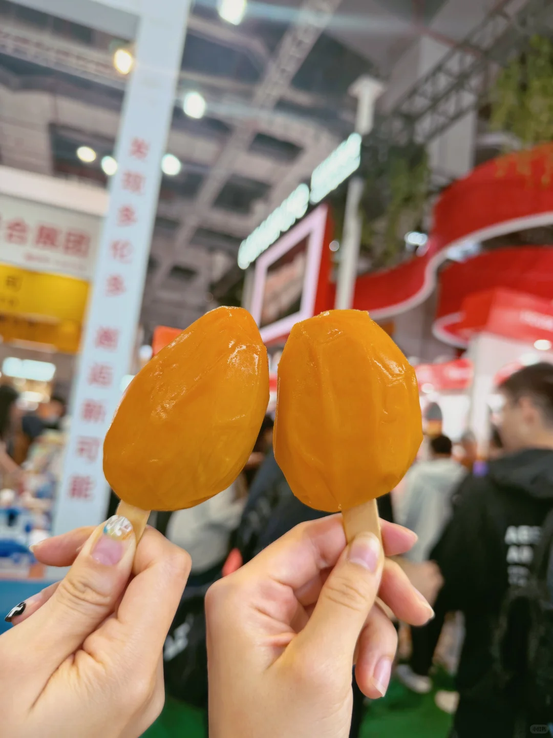 2025年进口博览会来啦