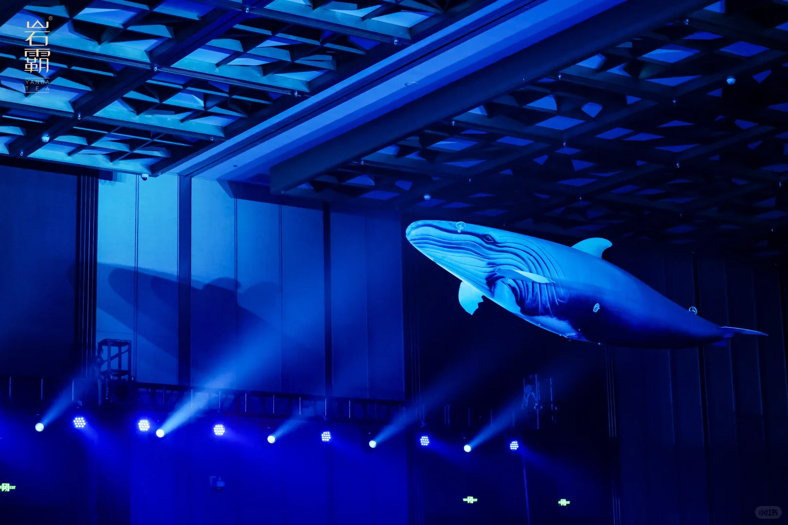 品牌活动/全球新品发布会/活动人的日常