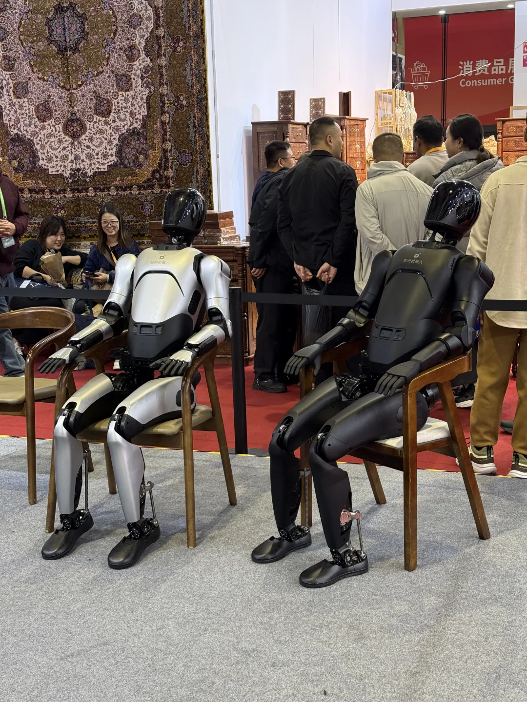 在进博会吃太好