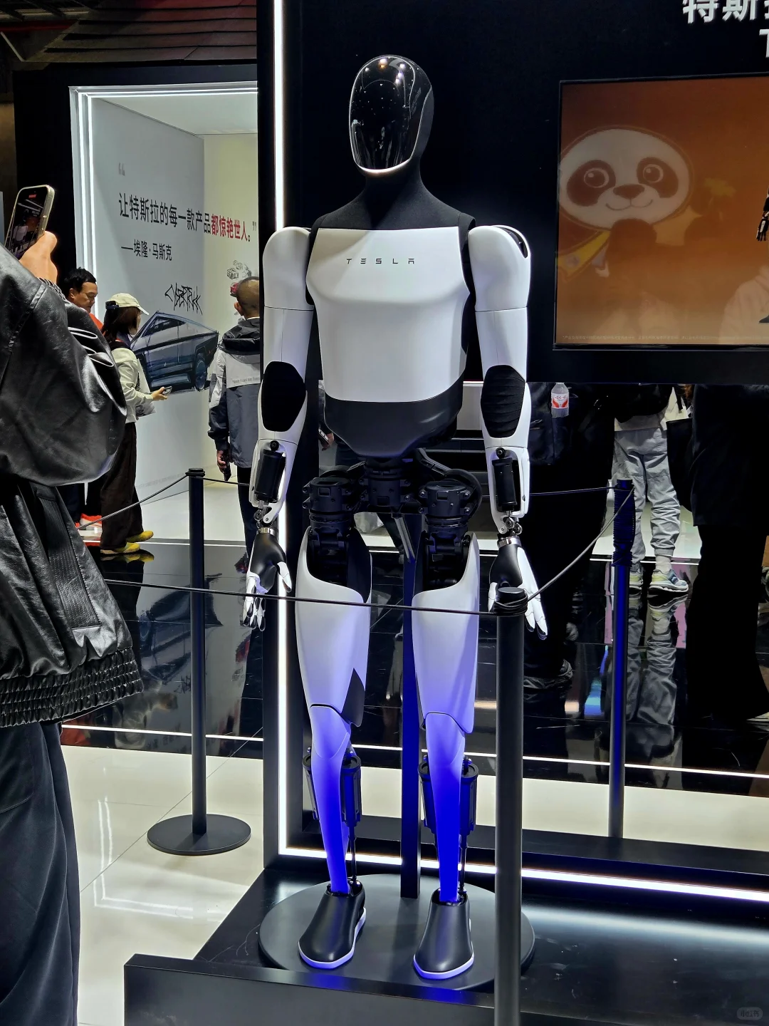 第八届进博会见闻