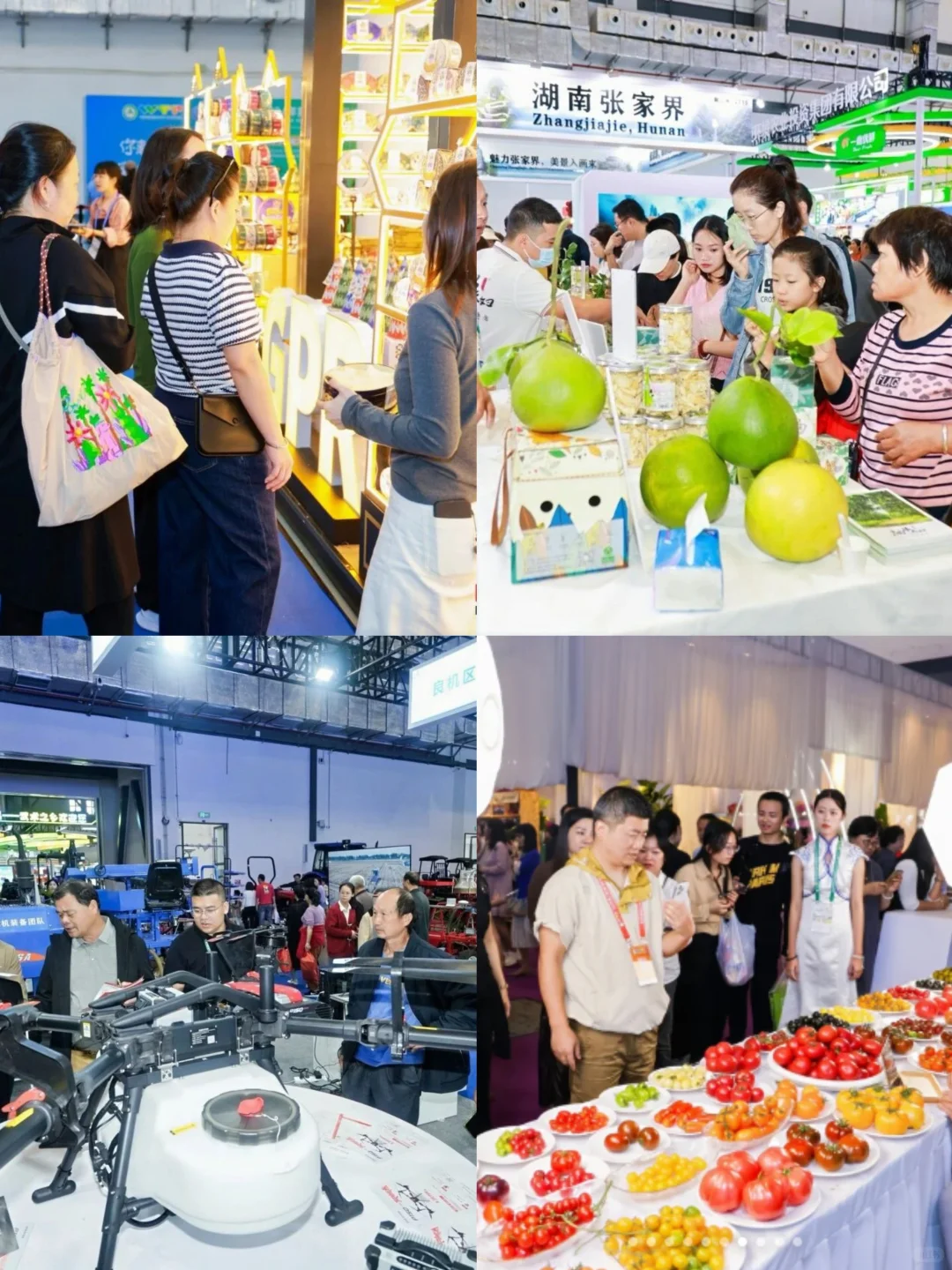 ?2025海南冬交会逛展攻略！看这一篇就够啦✨