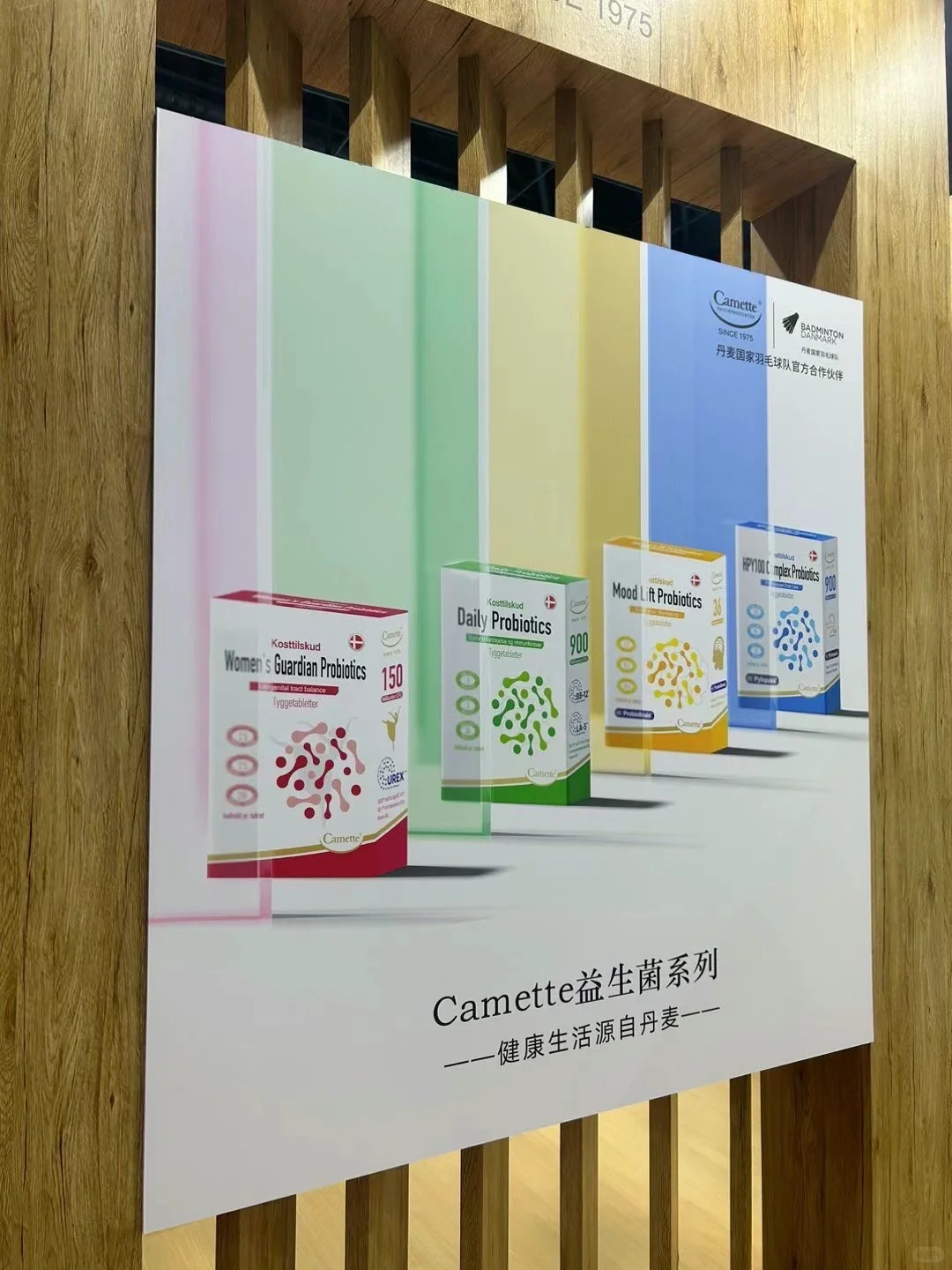 第七届进博会｜丹麦??食品馆如期亮相啦?